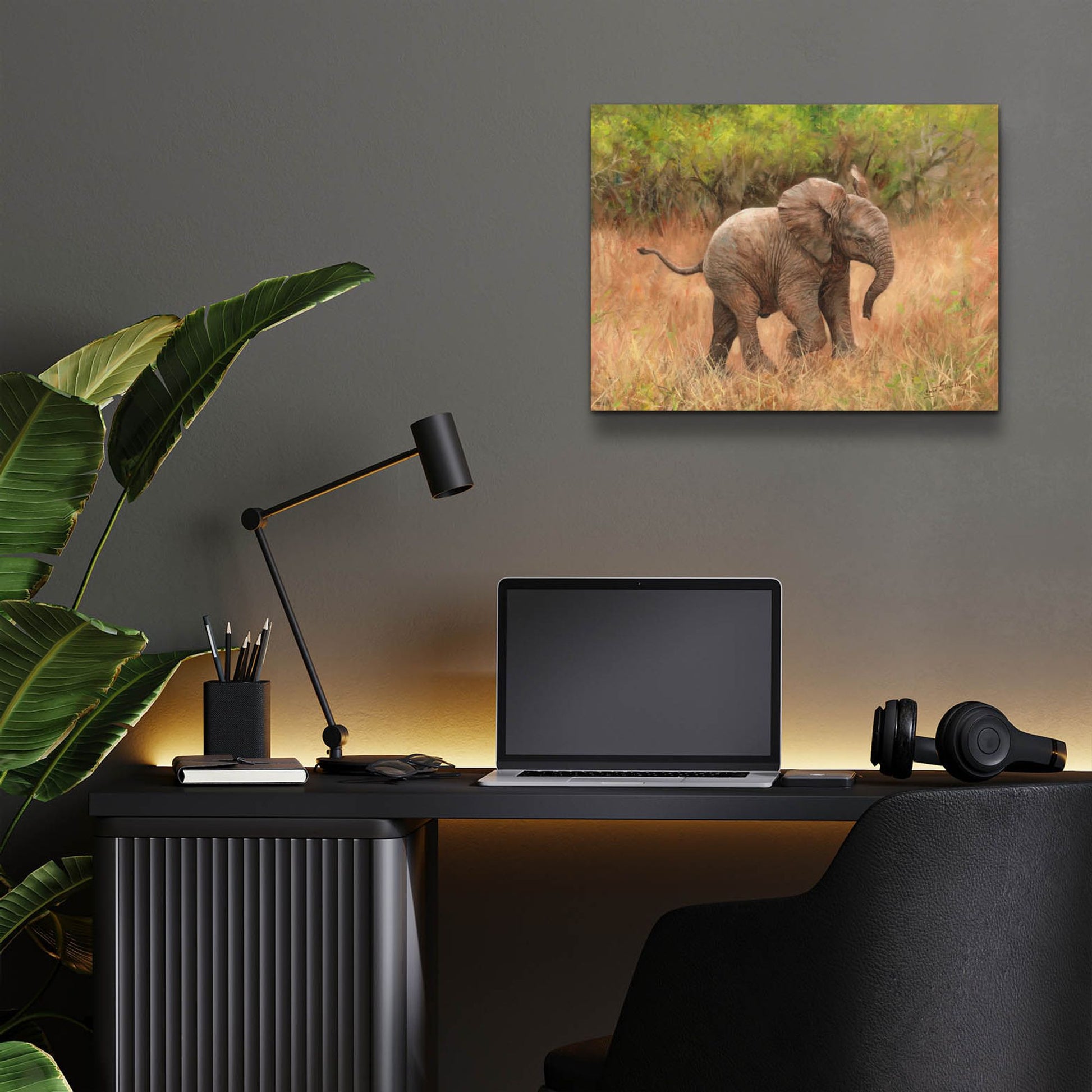 Epic Art 'Baby African Elephant2 by David Stribbling, Acrylic Glass Wall Art,16x12