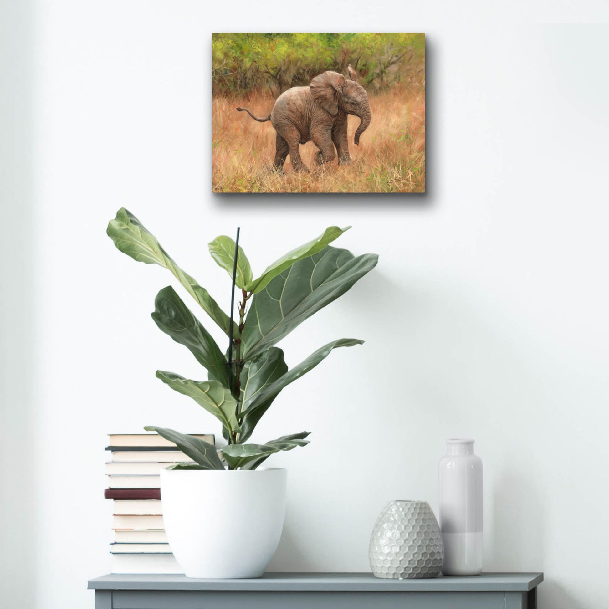 Epic Art 'Baby African Elephant2 by David Stribbling, Acrylic Glass Wall Art,16x12