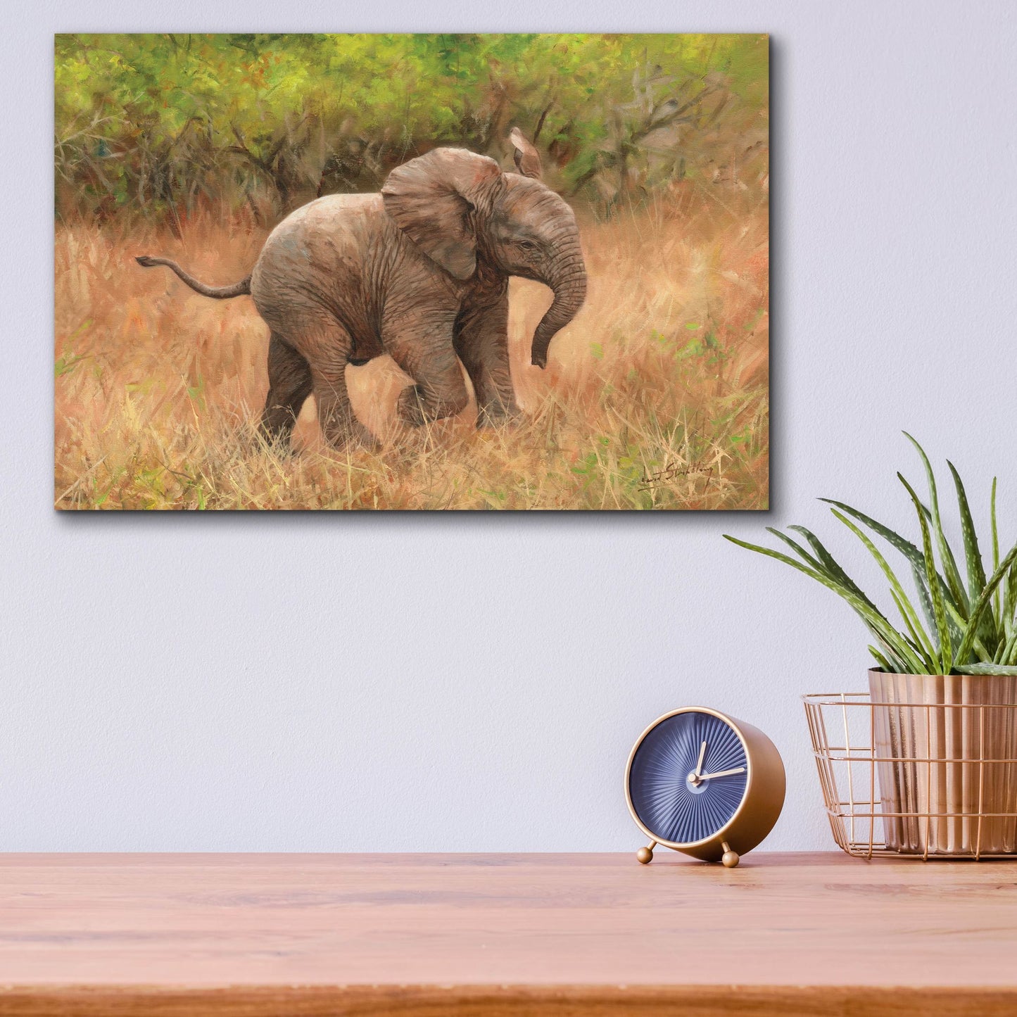 Epic Art 'Baby African Elephant2 by David Stribbling, Acrylic Glass Wall Art,16x12