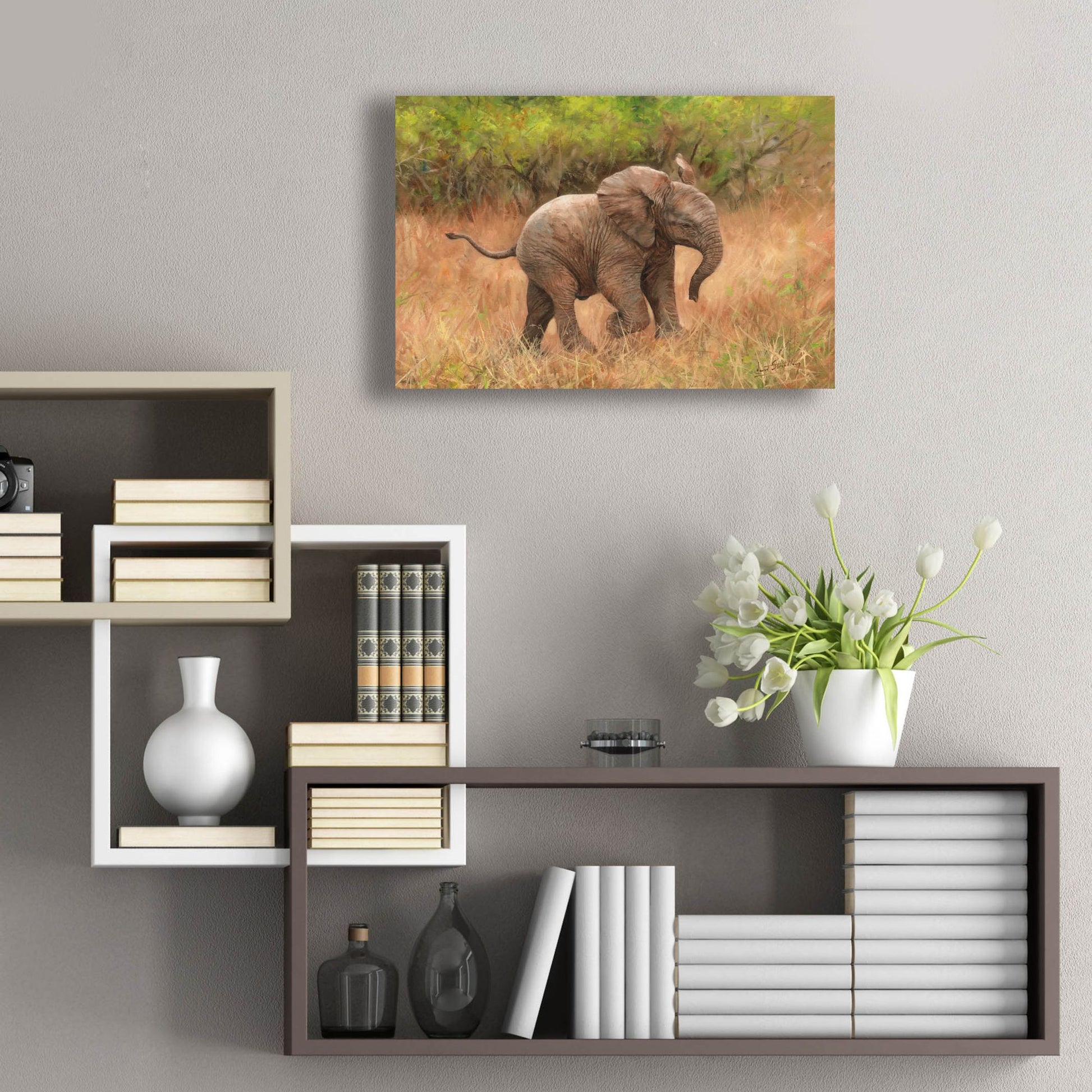 Epic Art 'Baby African Elephant2 by David Stribbling, Acrylic Glass Wall Art,24x16