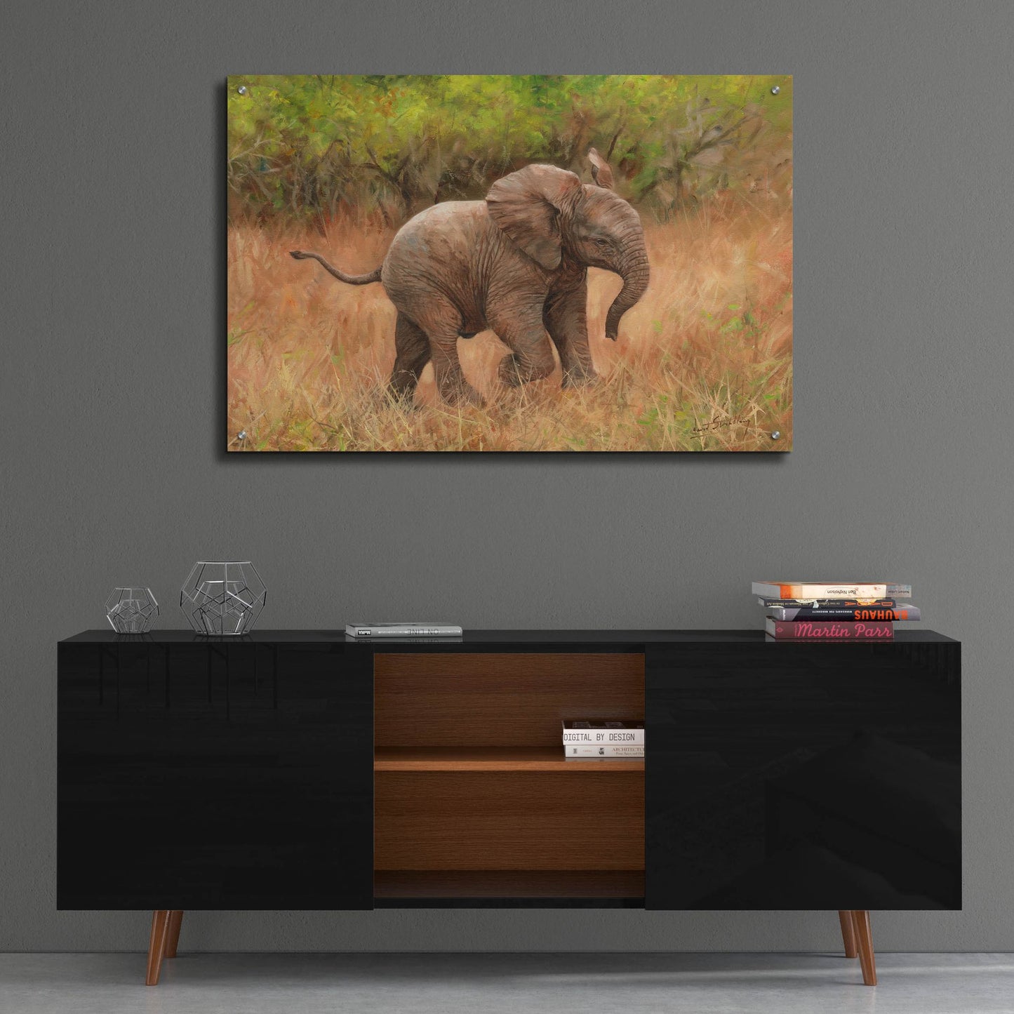 Epic Art 'Baby African Elephant2 by David Stribbling, Acrylic Glass Wall Art,36x24