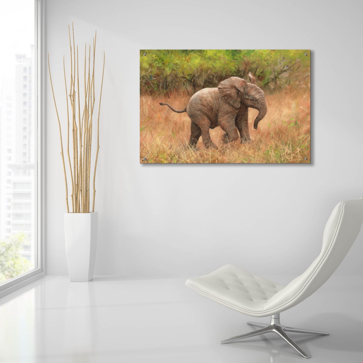 Epic Art 'Baby African Elephant2 by David Stribbling, Acrylic Glass Wall Art,36x24