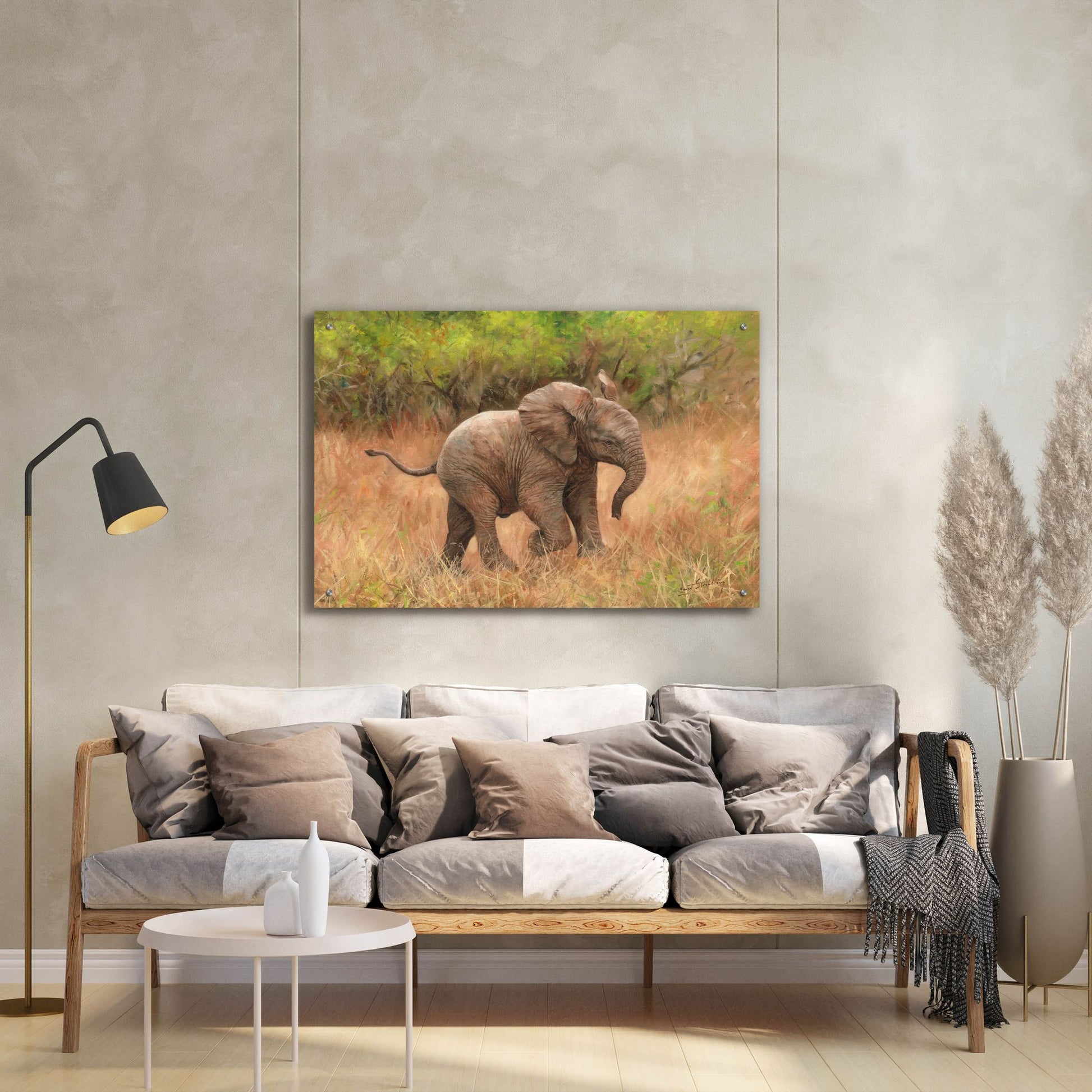 Epic Art 'Baby African Elephant2 by David Stribbling, Acrylic Glass Wall Art,36x24