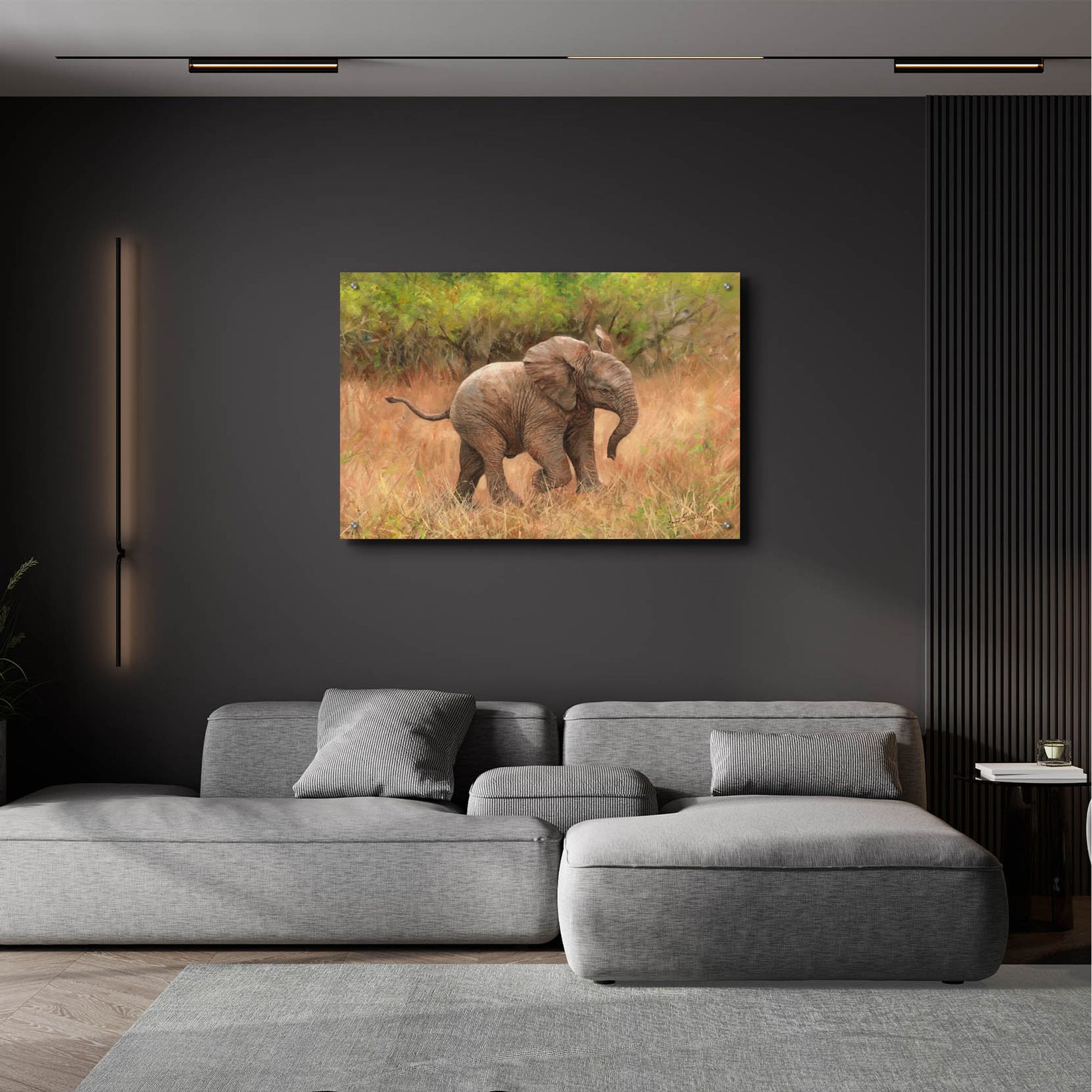 Epic Art 'Baby African Elephant2 by David Stribbling, Acrylic Glass Wall Art,36x24