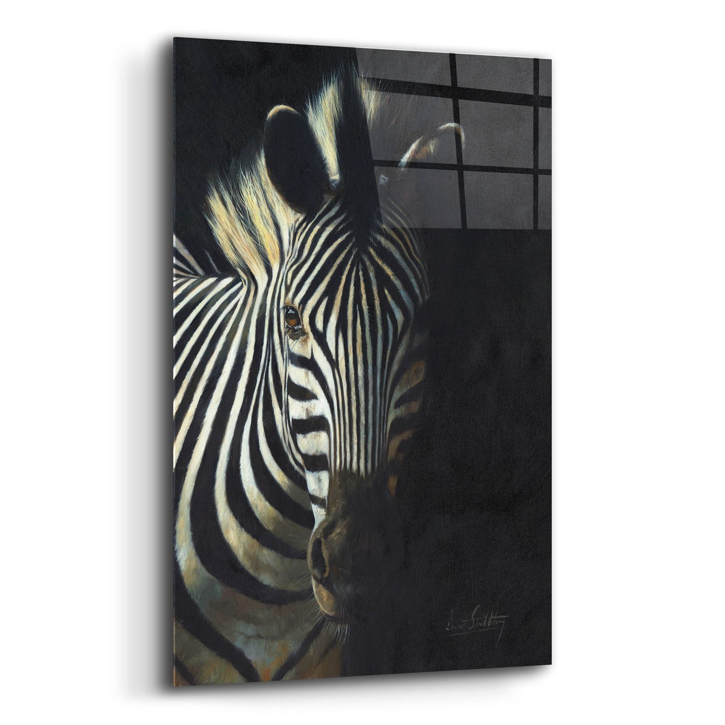 Epic Art 'Zebra Fade To Black2 by David Stribbling, Acrylic Glass Wall Art,12x16