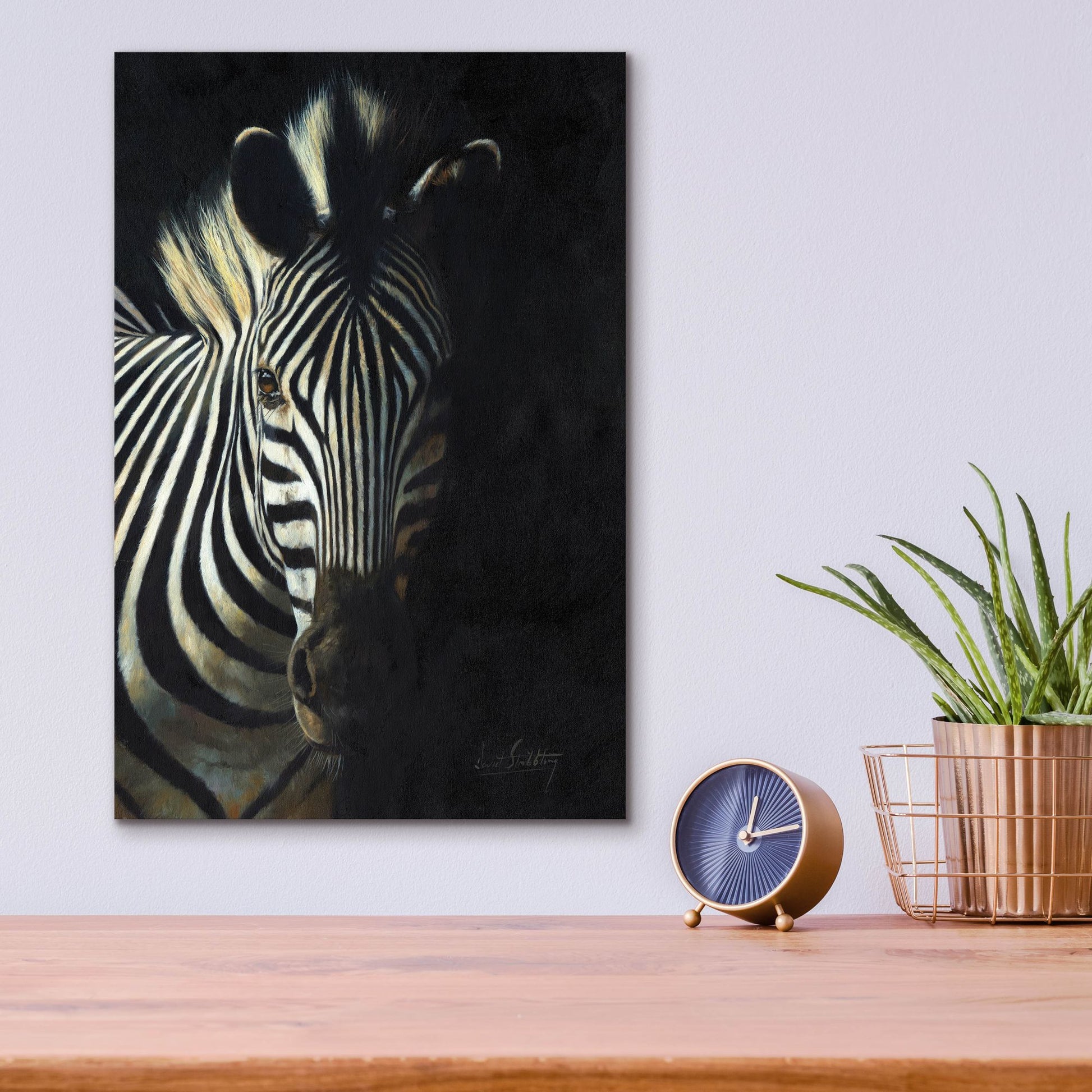 Epic Art 'Zebra Fade To Black2 by David Stribbling, Acrylic Glass Wall Art,12x16