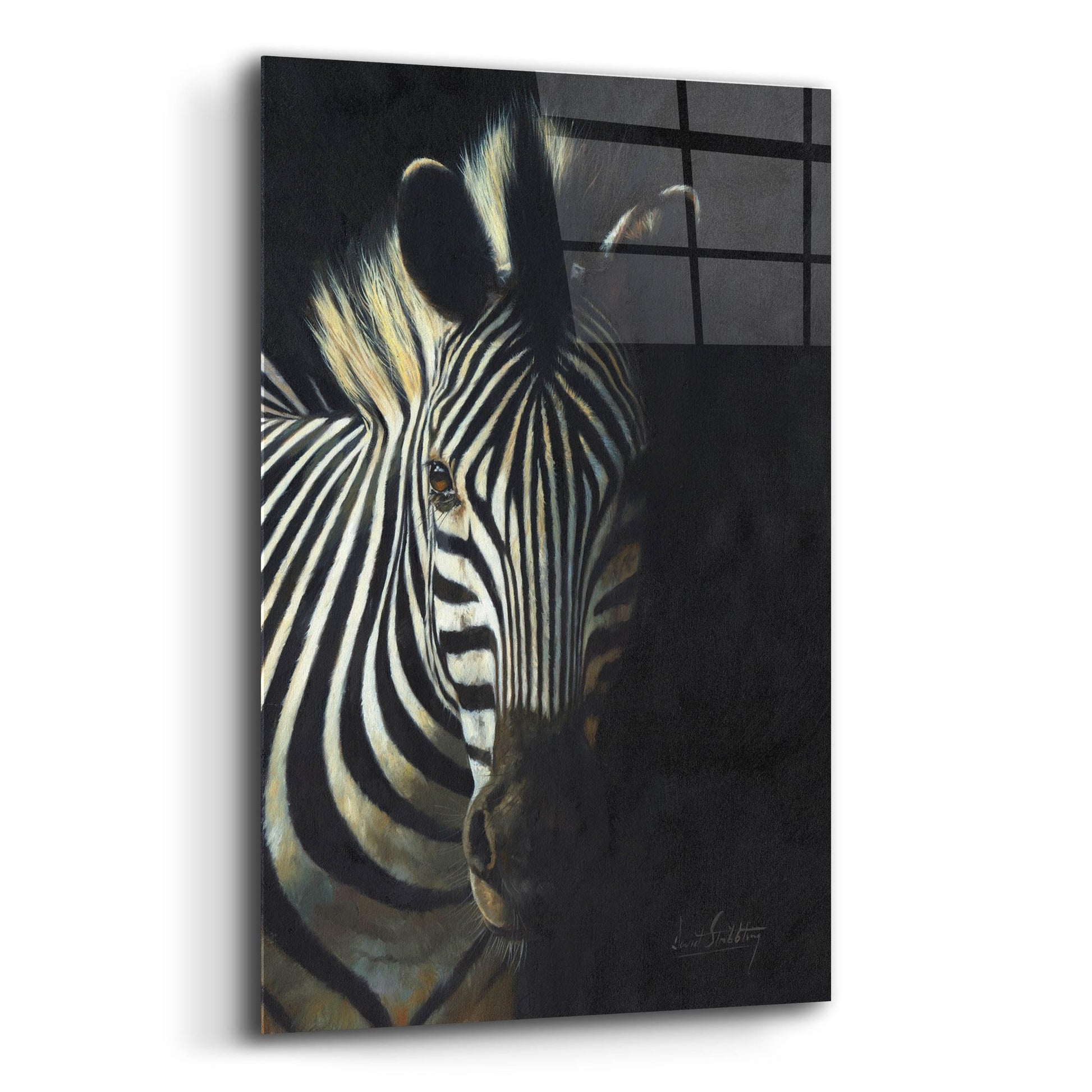 Epic Art 'Zebra Fade To Black2 by David Stribbling, Acrylic Glass Wall Art,16x24