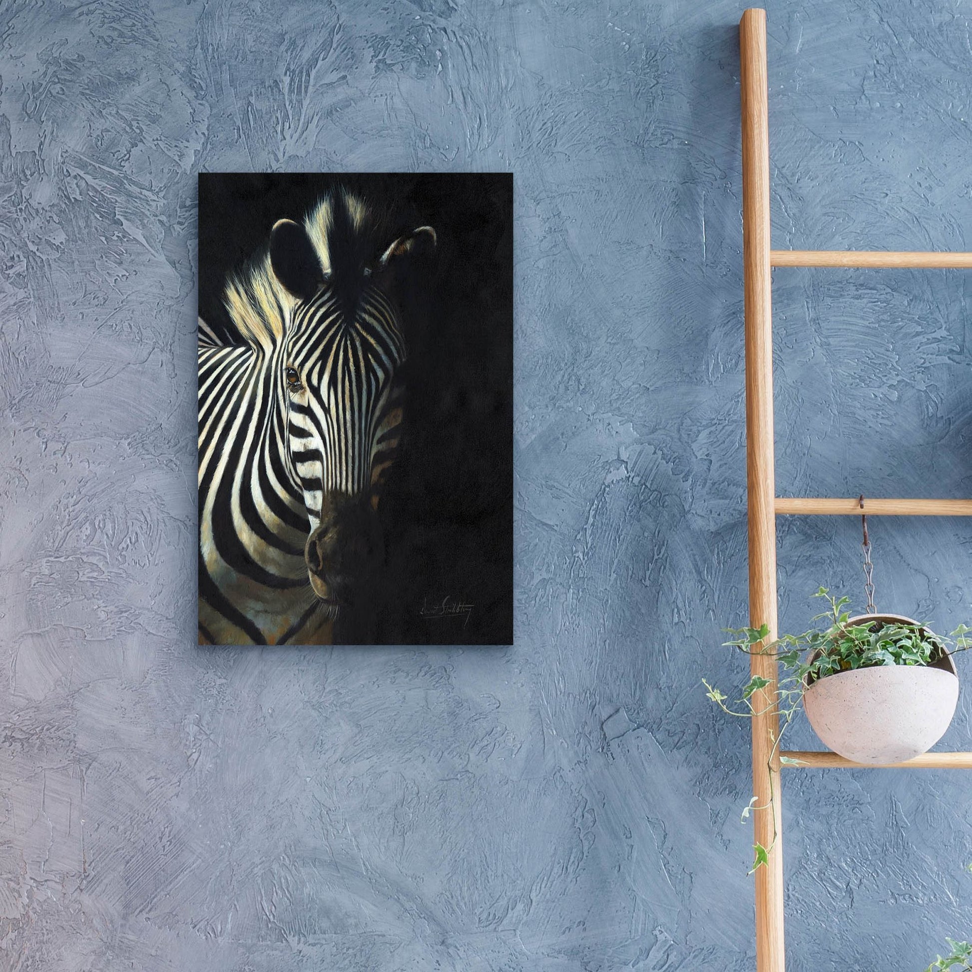 Epic Art 'Zebra Fade To Black2 by David Stribbling, Acrylic Glass Wall Art,16x24