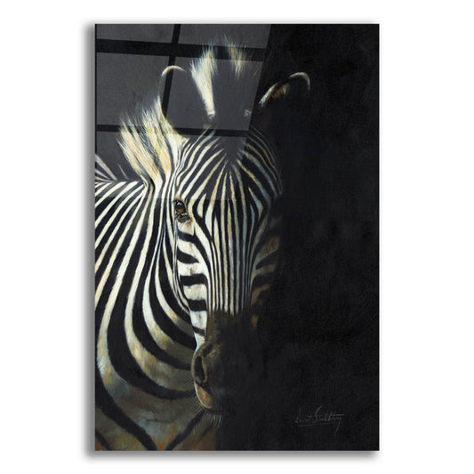 Epic Art 'Zebra Fade To Black2 by David Stribbling, Acrylic Glass Wall Art