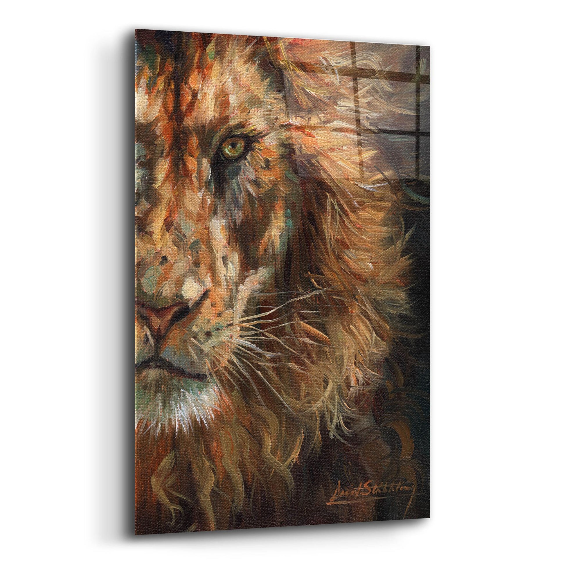 Epic Art 'Lion Half Face2 by David Stribbling, Acrylic Glass Wall Art,12x16