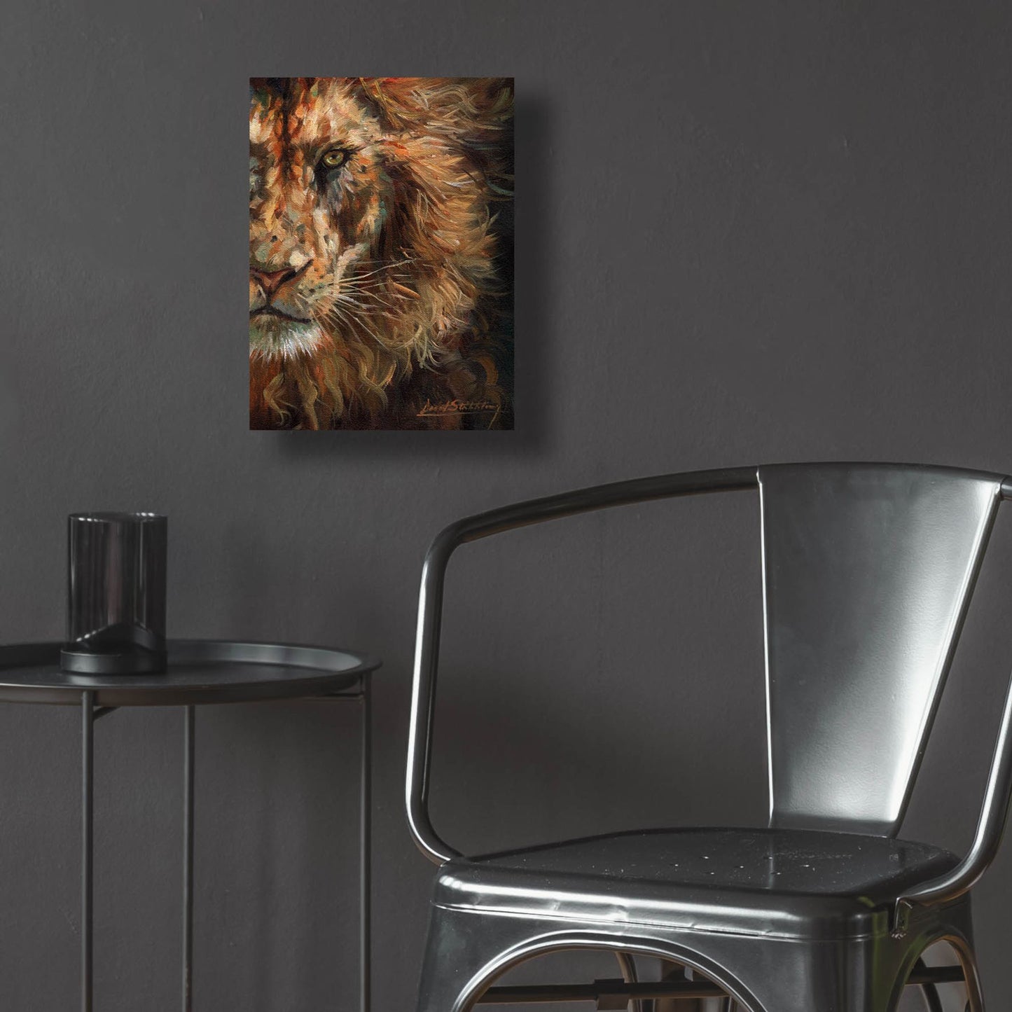 Epic Art 'Lion Half Face2 by David Stribbling, Acrylic Glass Wall Art,12x16