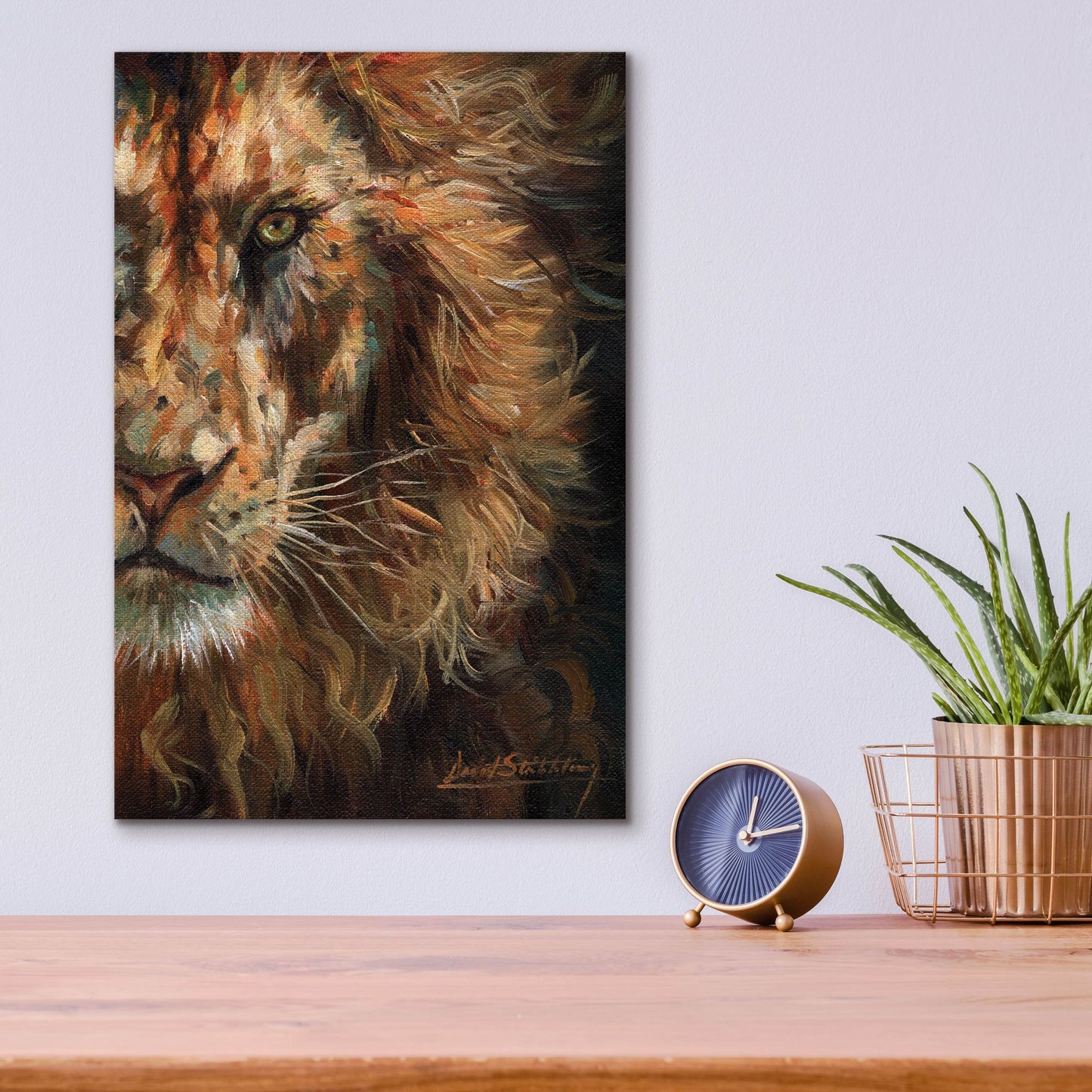 Epic Art 'Lion Half Face2 by David Stribbling, Acrylic Glass Wall Art,12x16