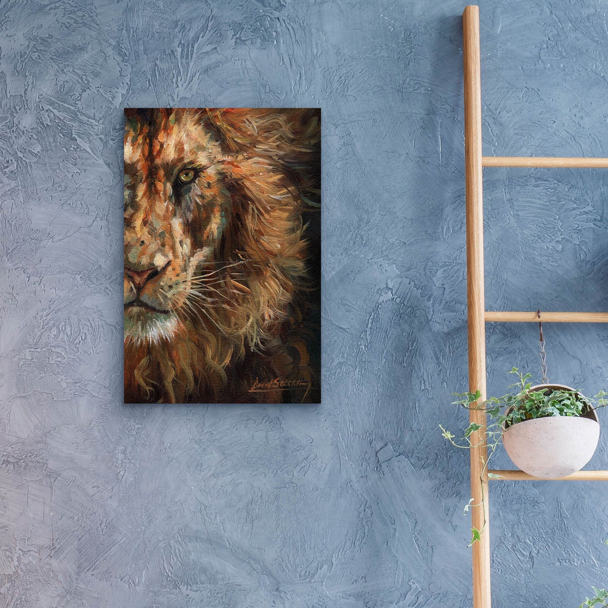 Epic Art 'Lion Half Face2 by David Stribbling, Acrylic Glass Wall Art,16x24