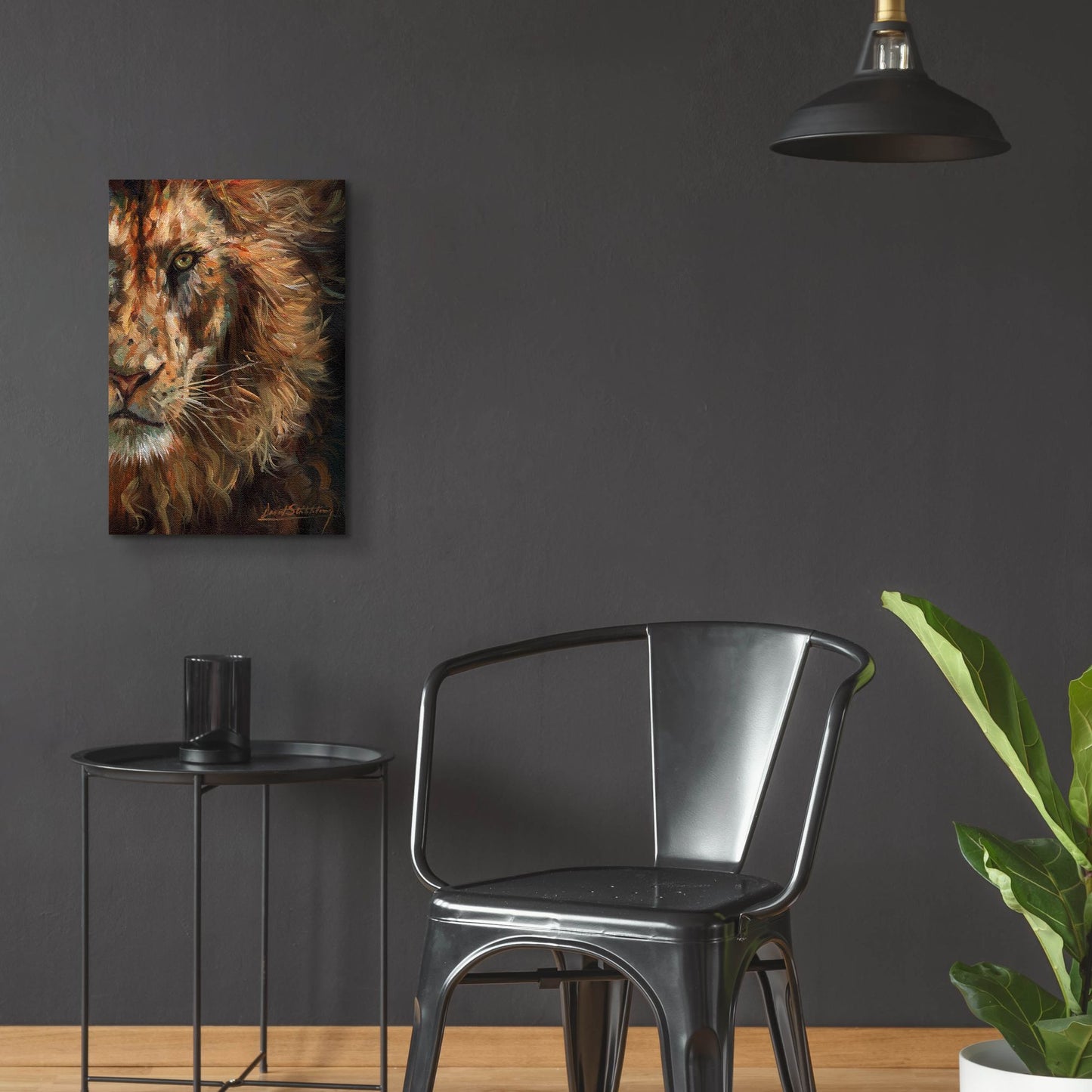 Epic Art 'Lion Half Face2 by David Stribbling, Acrylic Glass Wall Art,16x24