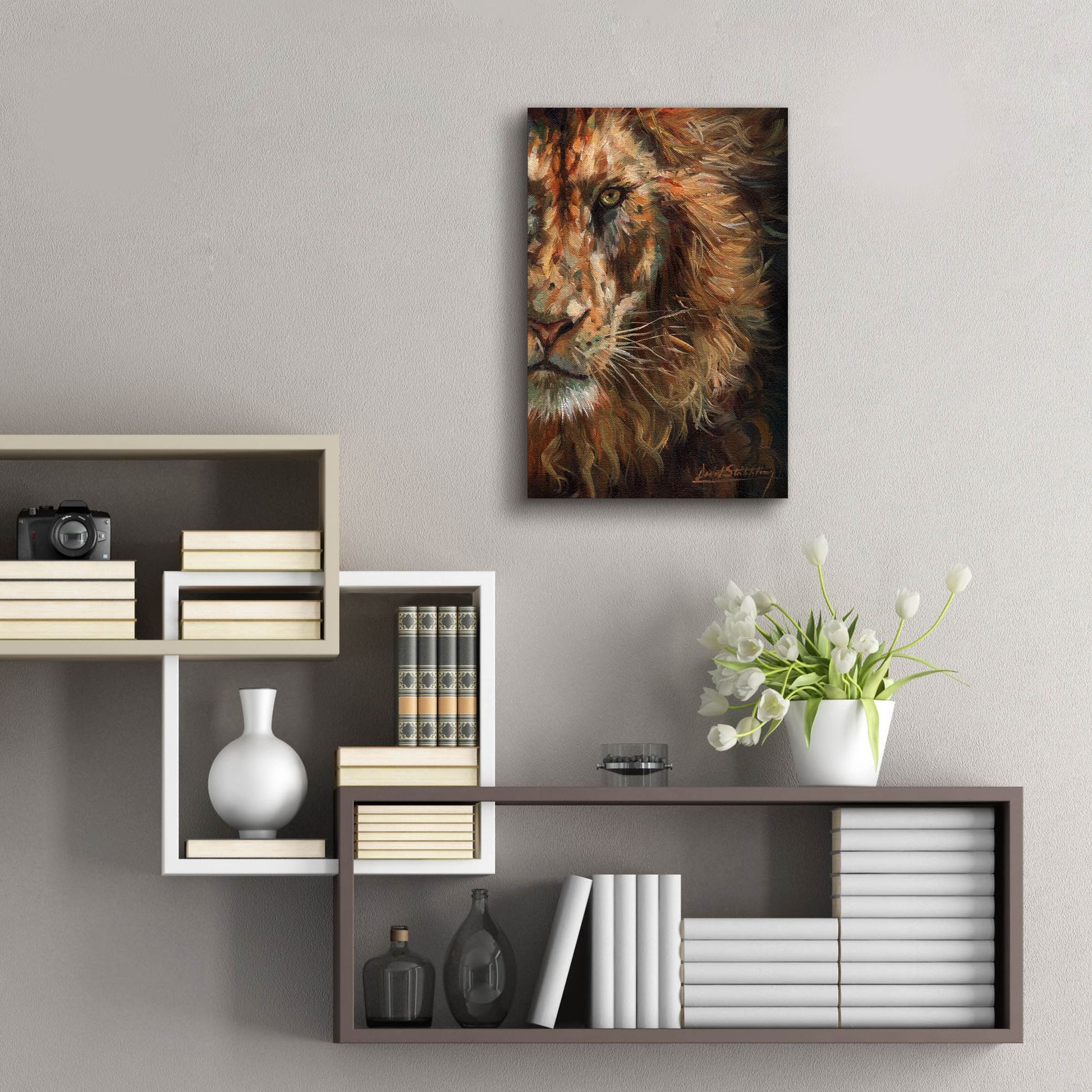 Epic Art 'Lion Half Face2 by David Stribbling, Acrylic Glass Wall Art,16x24