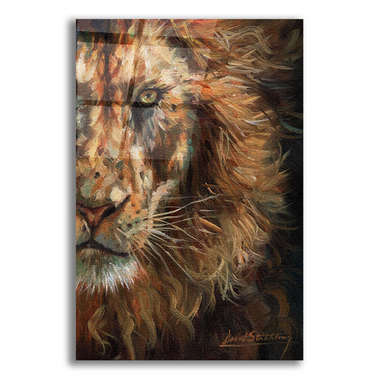 Epic Art 'Lion Half Face2 by David Stribbling, Acrylic Glass Wall Art