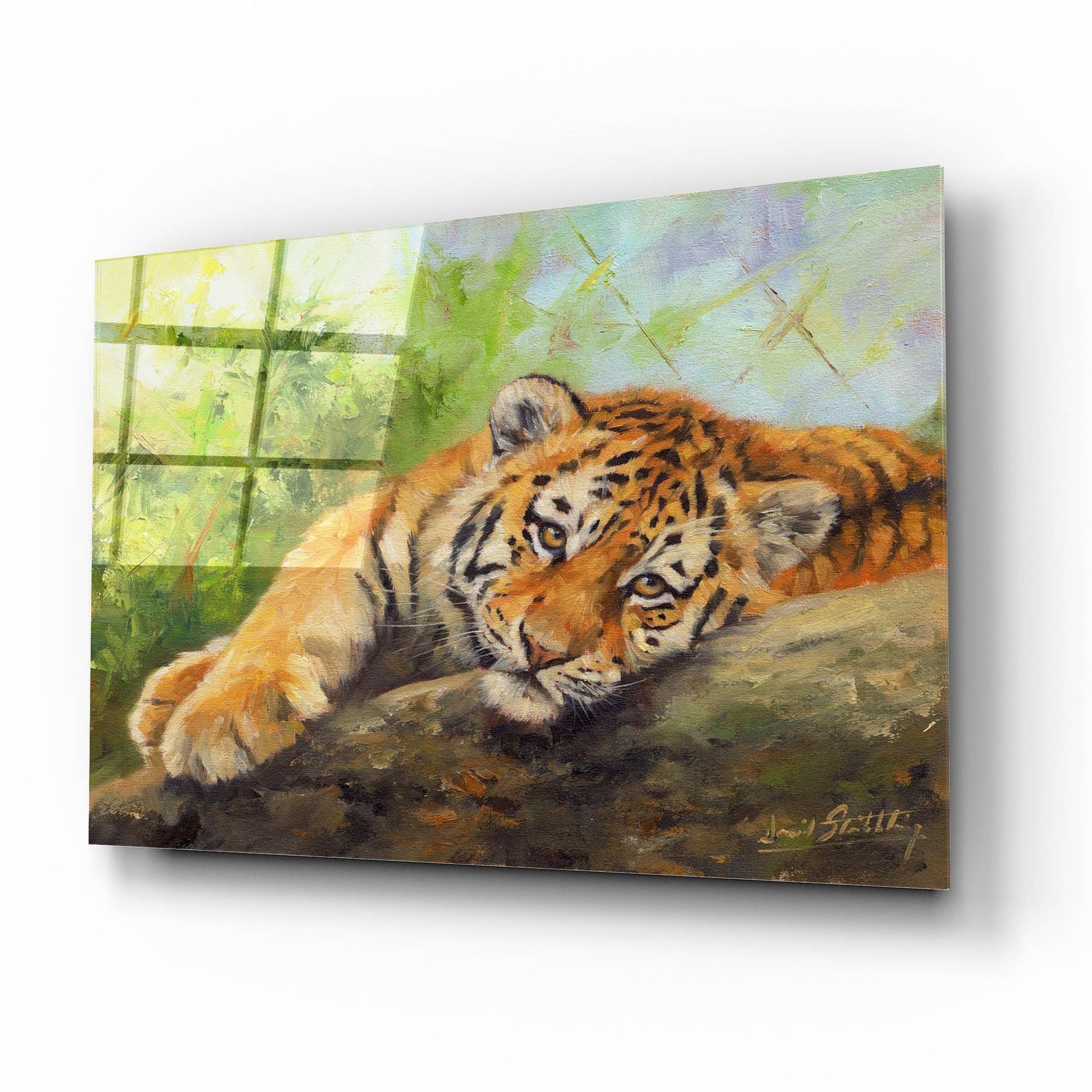 Epic Art 'Tiger Cub Rock2 by David Stribbling, Acrylic Glass Wall Art,16x12