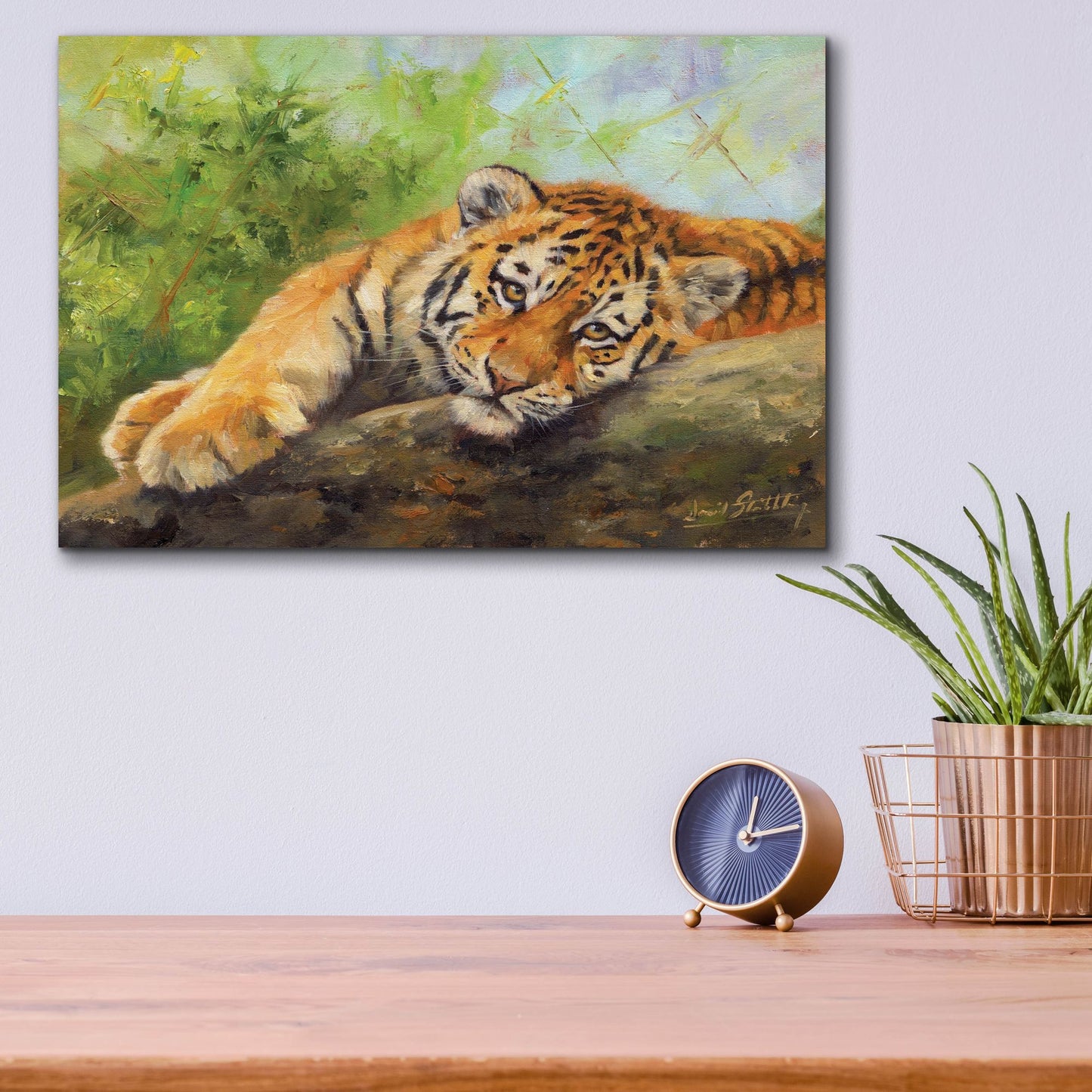 Epic Art 'Tiger Cub Rock2 by David Stribbling, Acrylic Glass Wall Art,16x12