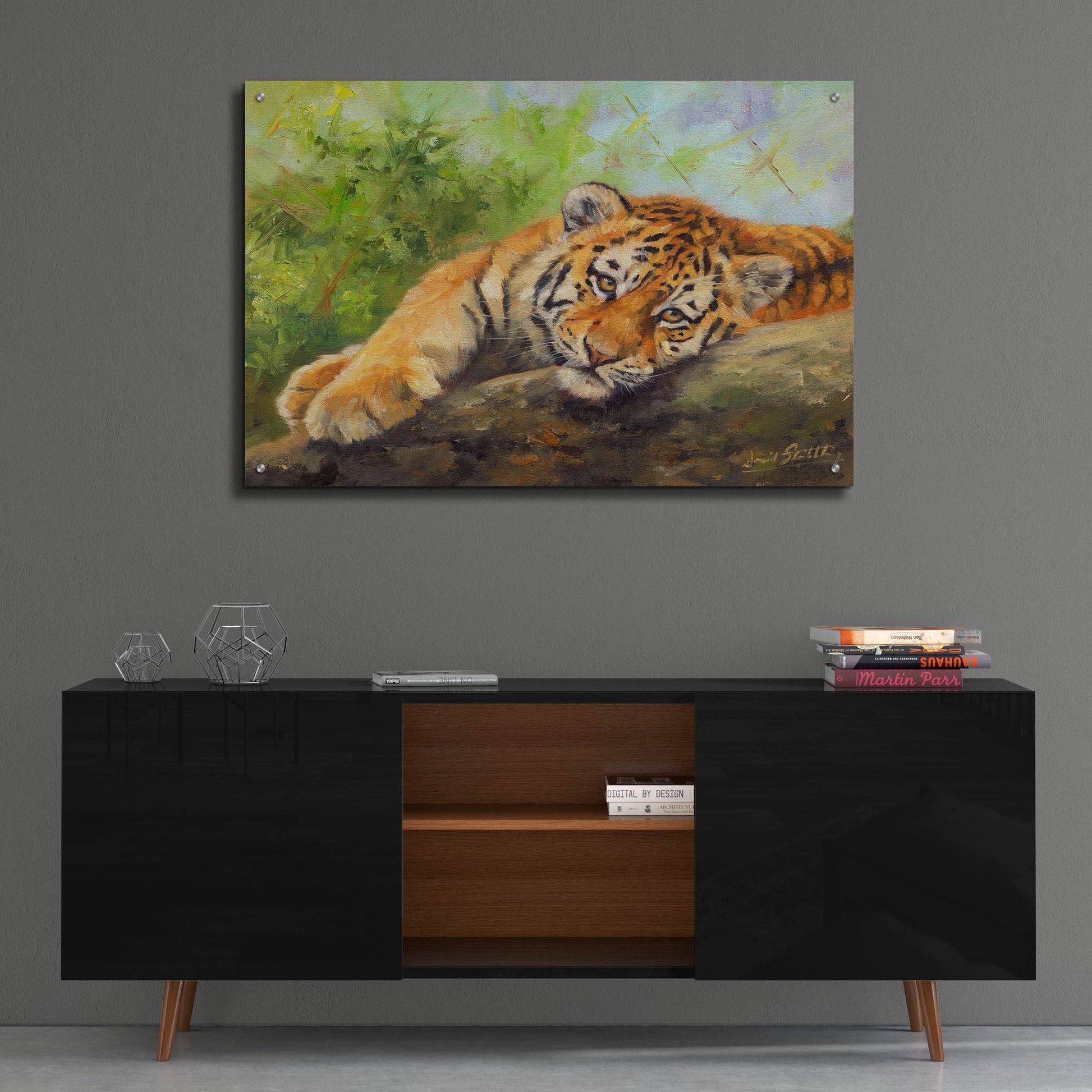 Epic Art 'Tiger Cub Rock2 by David Stribbling, Acrylic Glass Wall Art,36x24