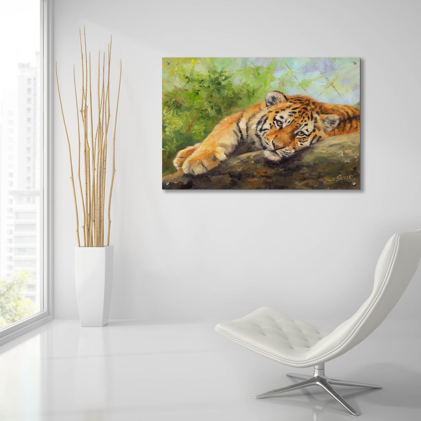 Epic Art 'Tiger Cub Rock2 by David Stribbling, Acrylic Glass Wall Art,36x24