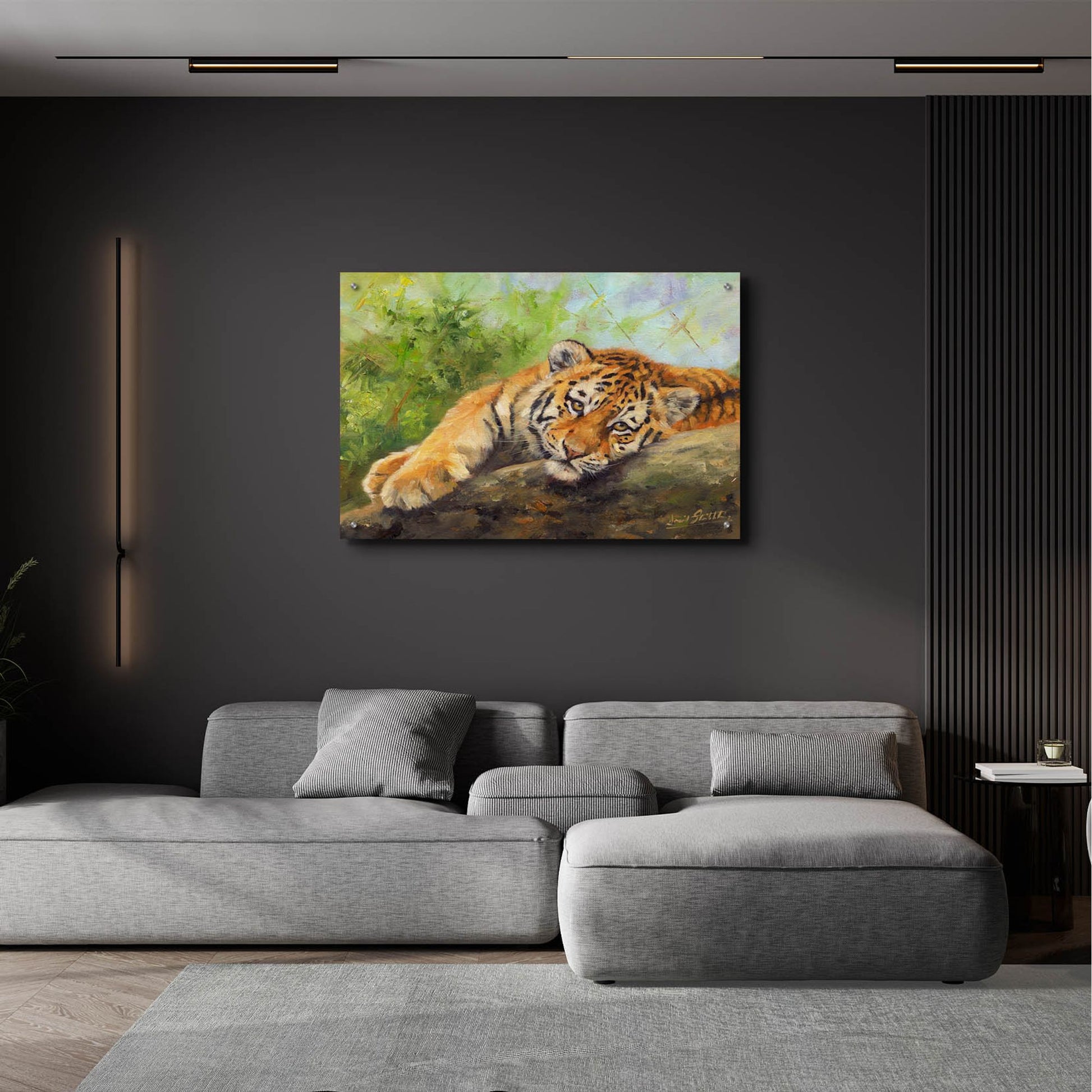 Epic Art 'Tiger Cub Rock2 by David Stribbling, Acrylic Glass Wall Art,36x24