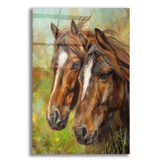Epic Art 'Horses2 by David Stribbling, Acrylic Glass Wall Art