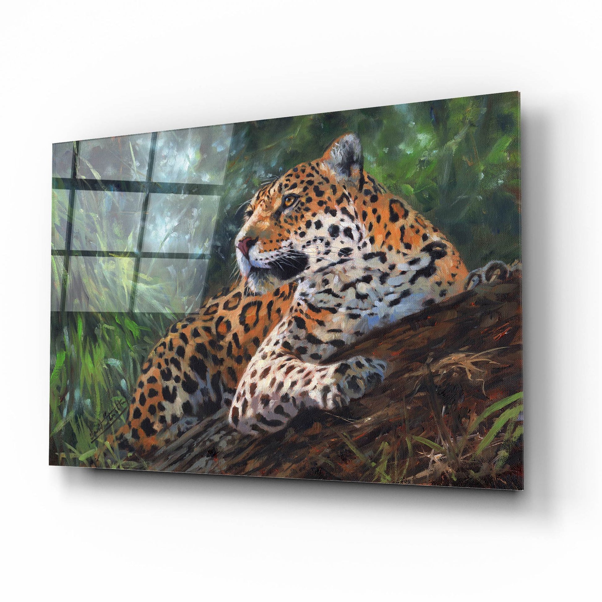 Epic Art 'Jaguar In Tree2 by David Stribbling, Acrylic Glass Wall Art,16x12