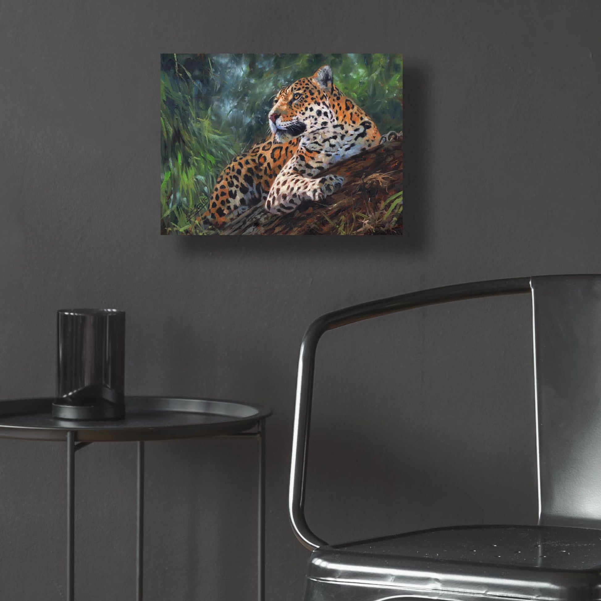 Epic Art 'Jaguar In Tree2 by David Stribbling, Acrylic Glass Wall Art,16x12