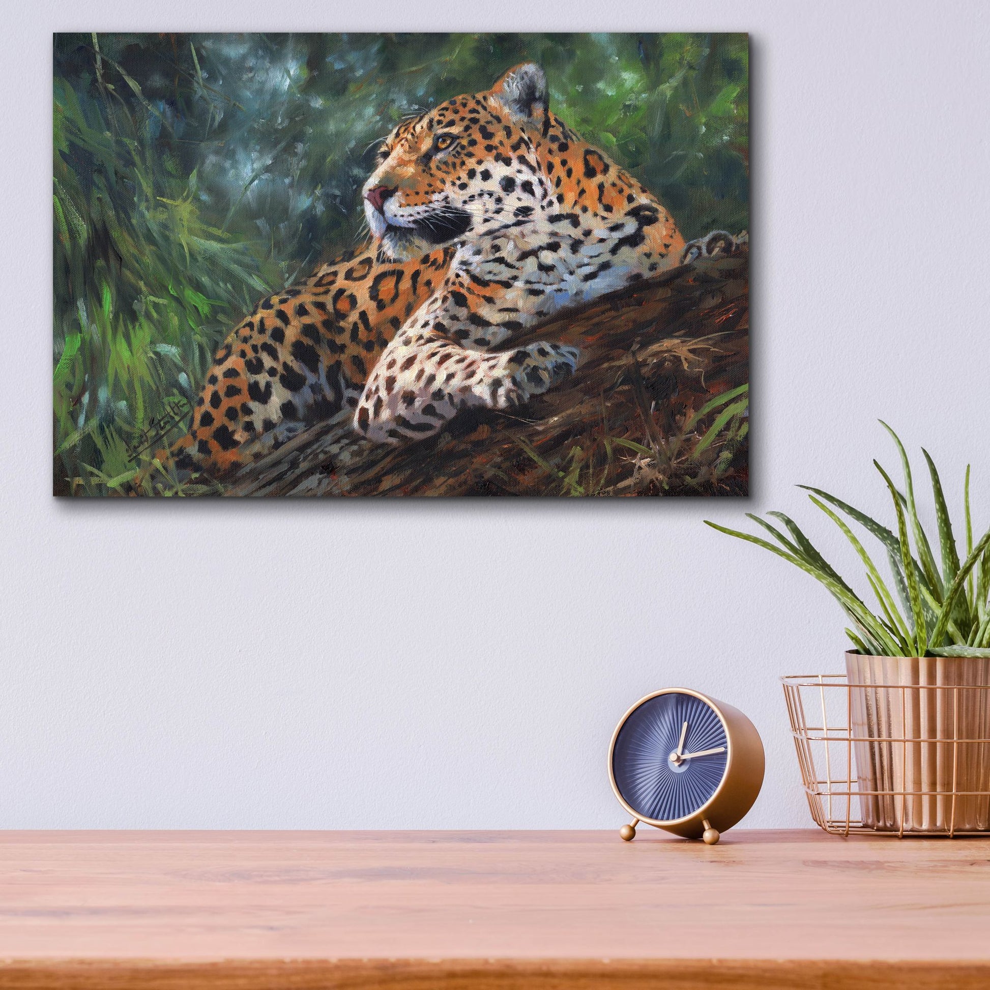 Epic Art 'Jaguar In Tree2 by David Stribbling, Acrylic Glass Wall Art,16x12