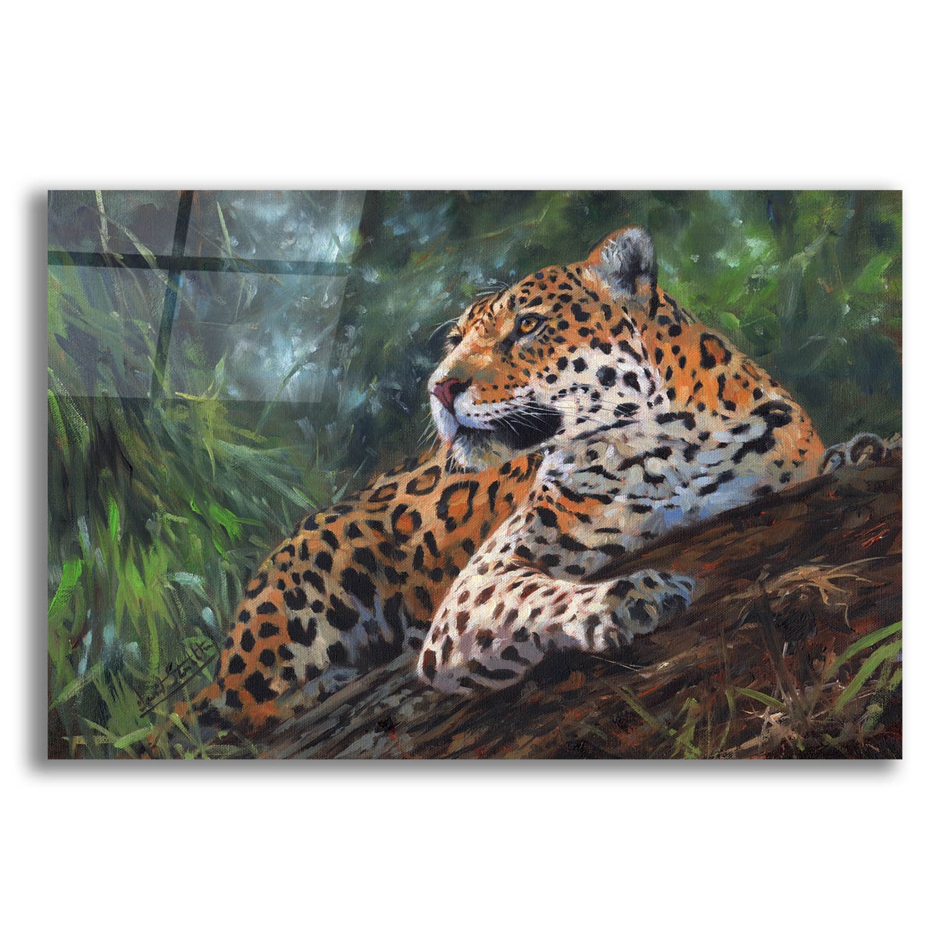 Epic Art 'Jaguar In Tree2 by David Stribbling, Acrylic Glass Wall Art,24x16