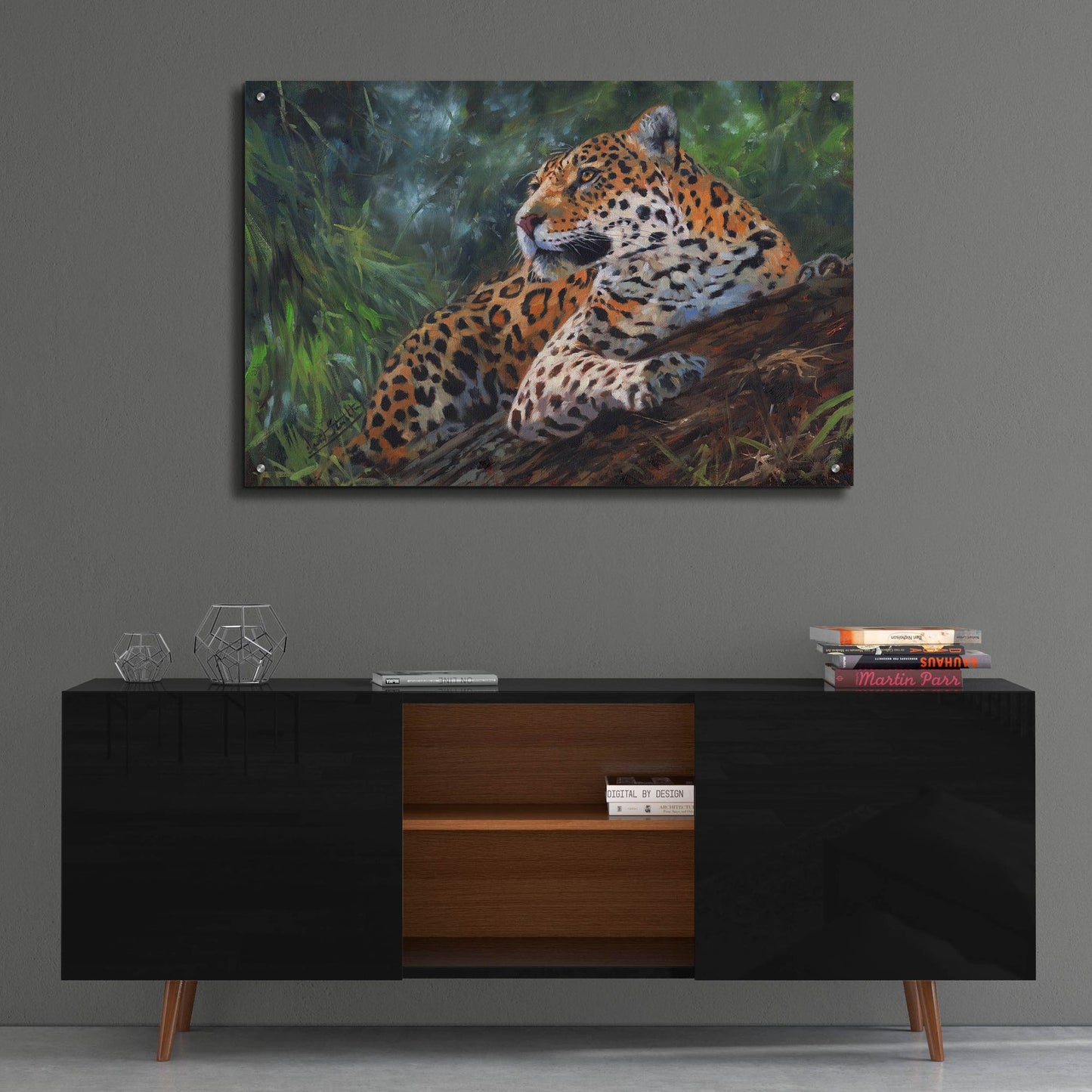 Epic Art 'Jaguar In Tree2 by David Stribbling, Acrylic Glass Wall Art,36x24