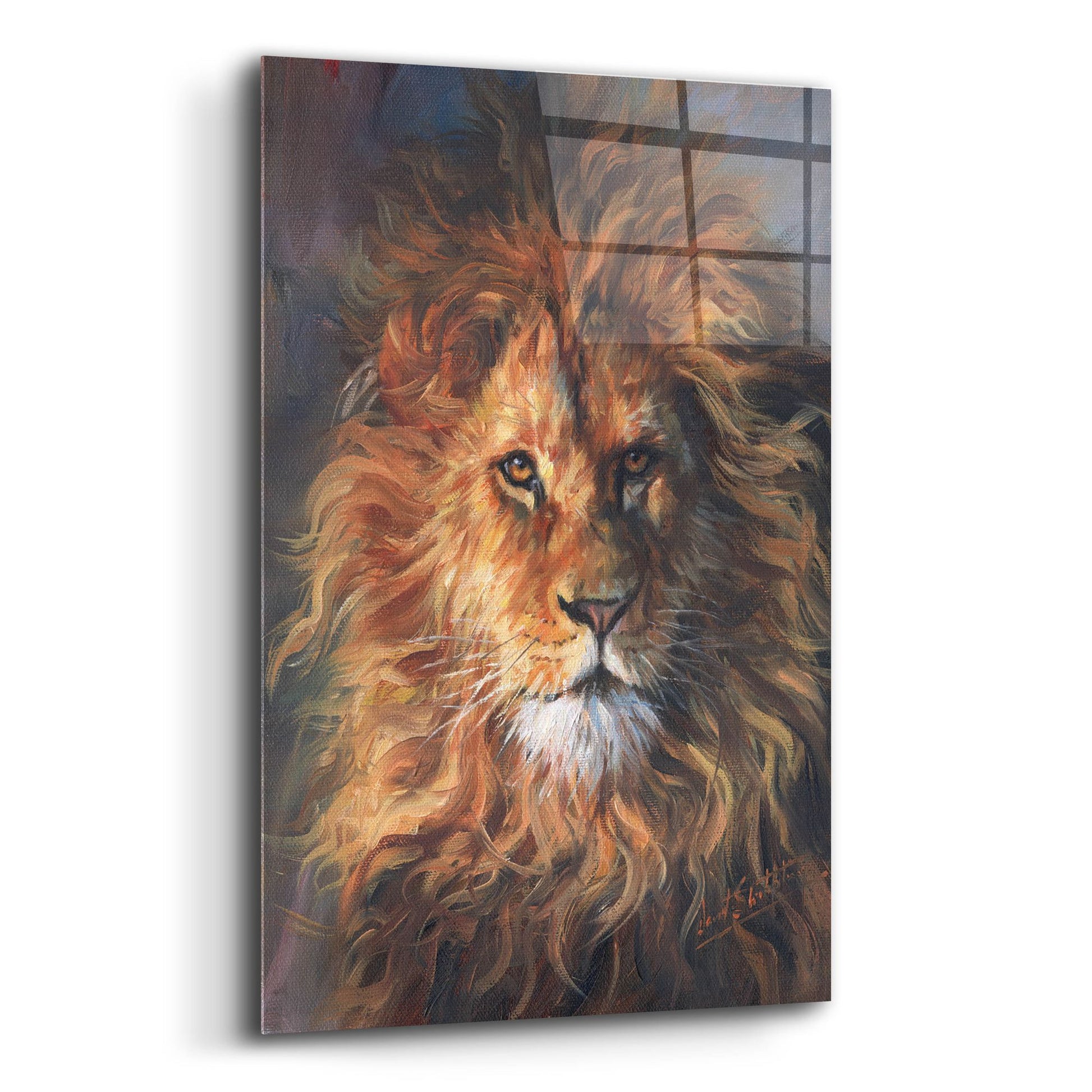 Epic Art 'Lion Portrait2 by David Stribbling, Acrylic Glass Wall Art,12x16