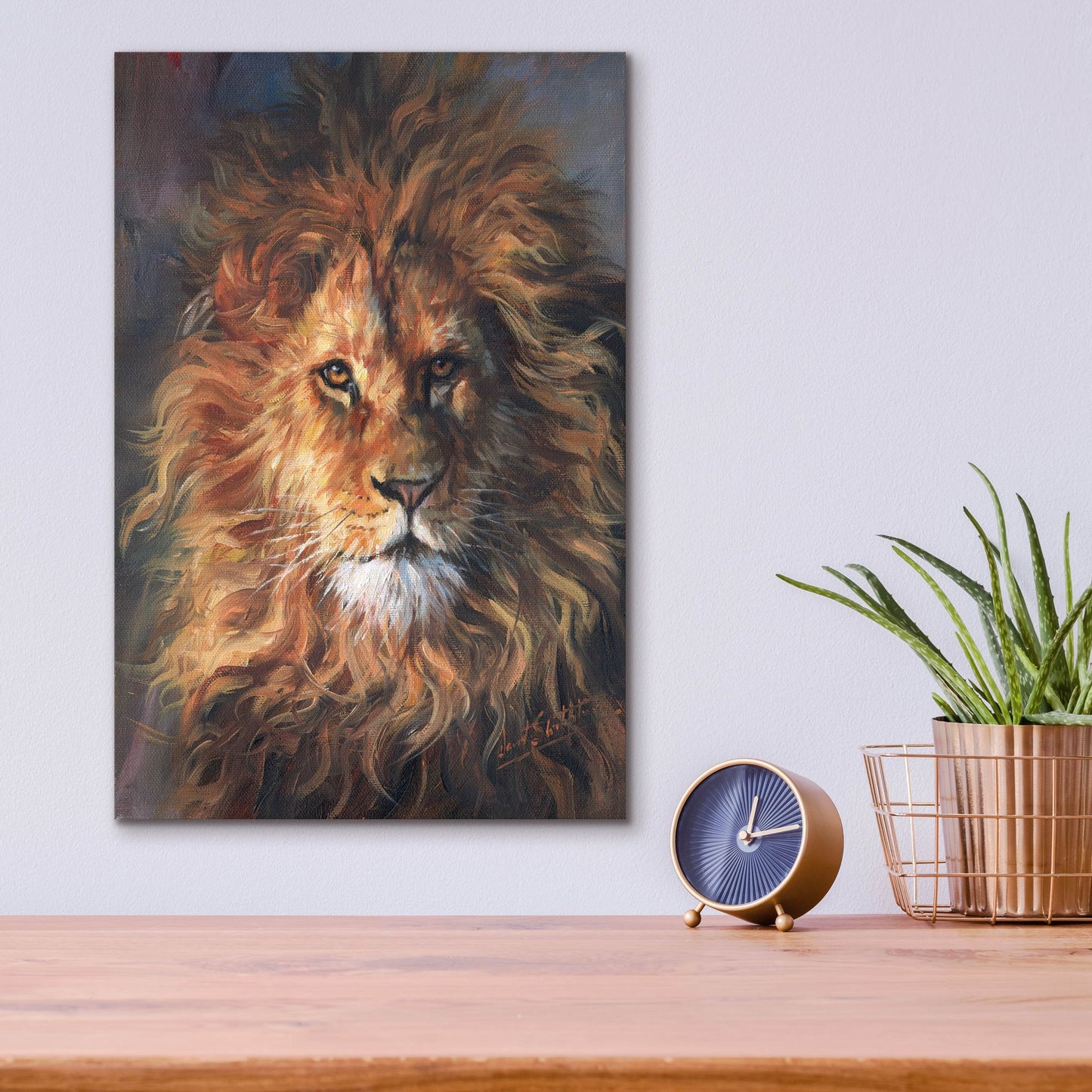 Epic Art 'Lion Portrait2 by David Stribbling, Acrylic Glass Wall Art,12x16