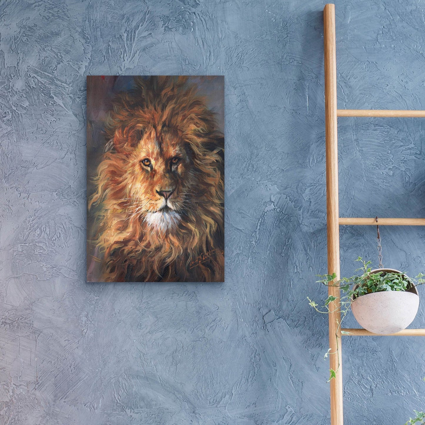 Epic Art 'Lion Portrait2 by David Stribbling, Acrylic Glass Wall Art,16x24