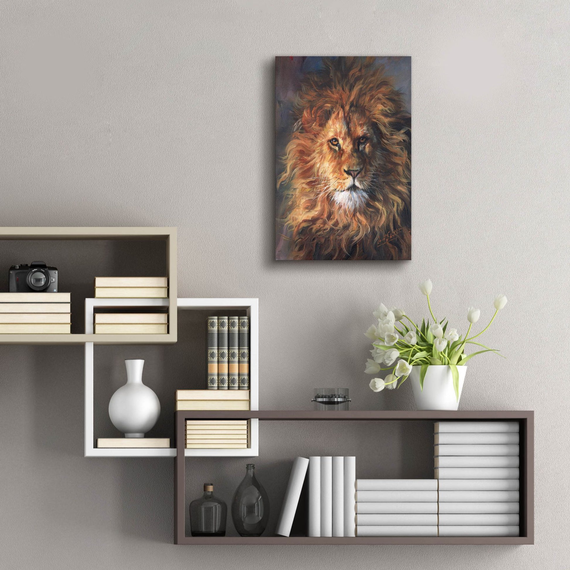 Epic Art 'Lion Portrait2 by David Stribbling, Acrylic Glass Wall Art,16x24