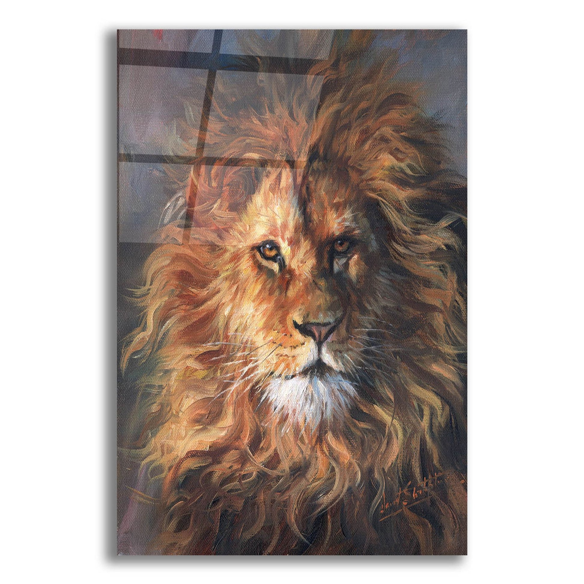 Epic Art 'Lion Portrait2 by David Stribbling, Acrylic Glass Wall Art