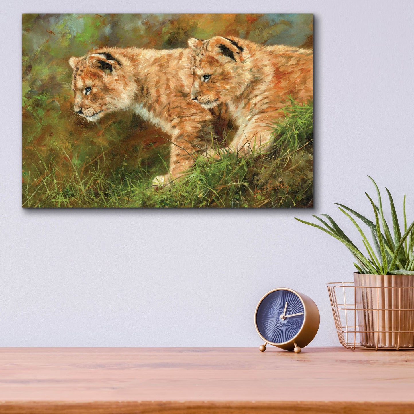 Epic Art 'Lion Siblings2 by David Stribbling, Acrylic Glass Wall Art,16x12