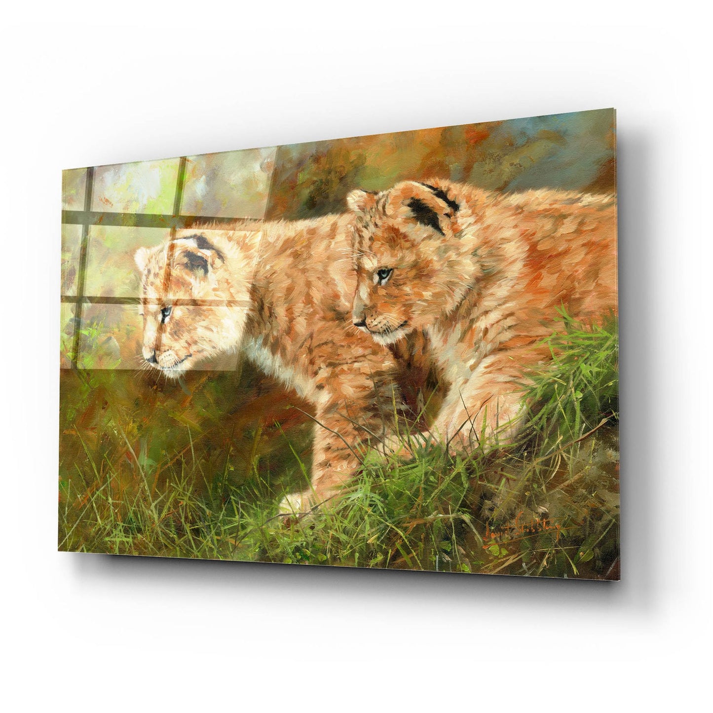 Epic Art 'Lion Siblings2 by David Stribbling, Acrylic Glass Wall Art,24x16