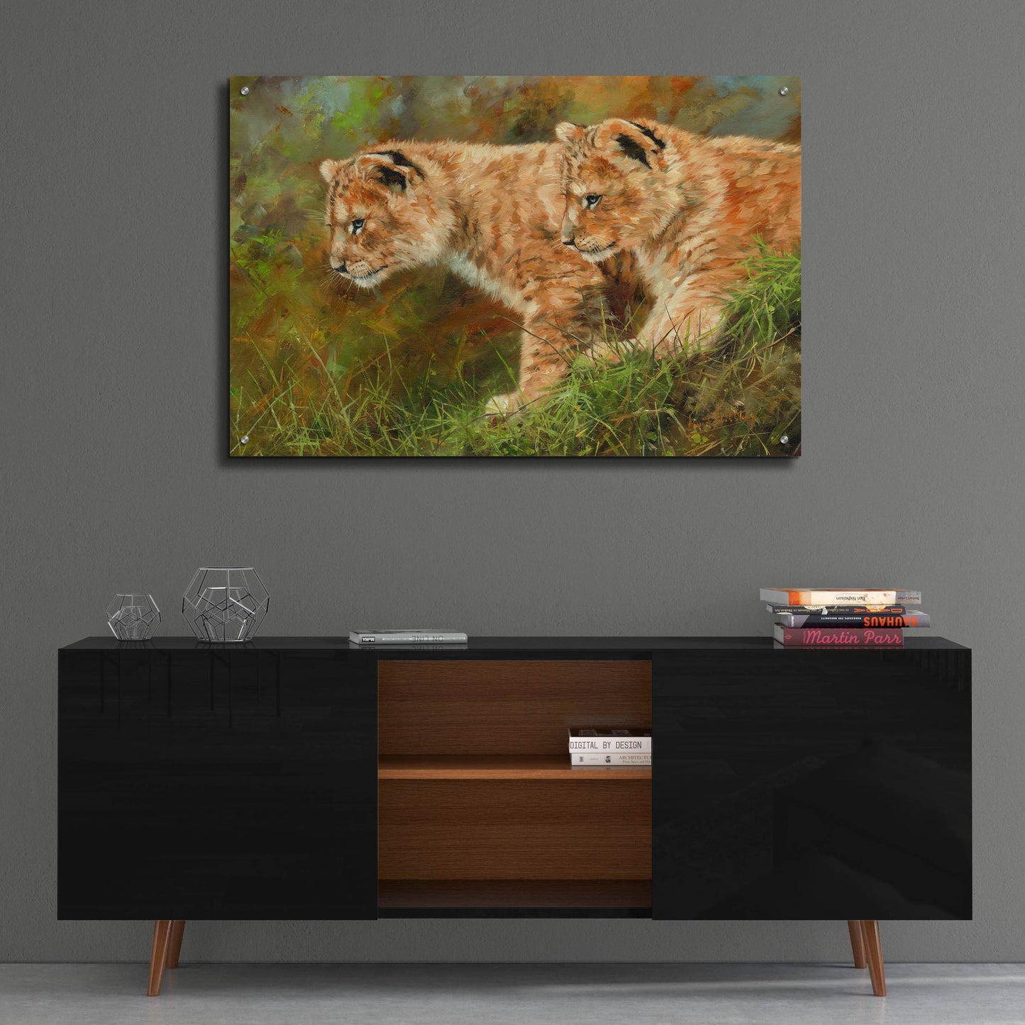 Epic Art 'Lion Siblings2 by David Stribbling, Acrylic Glass Wall Art,36x24