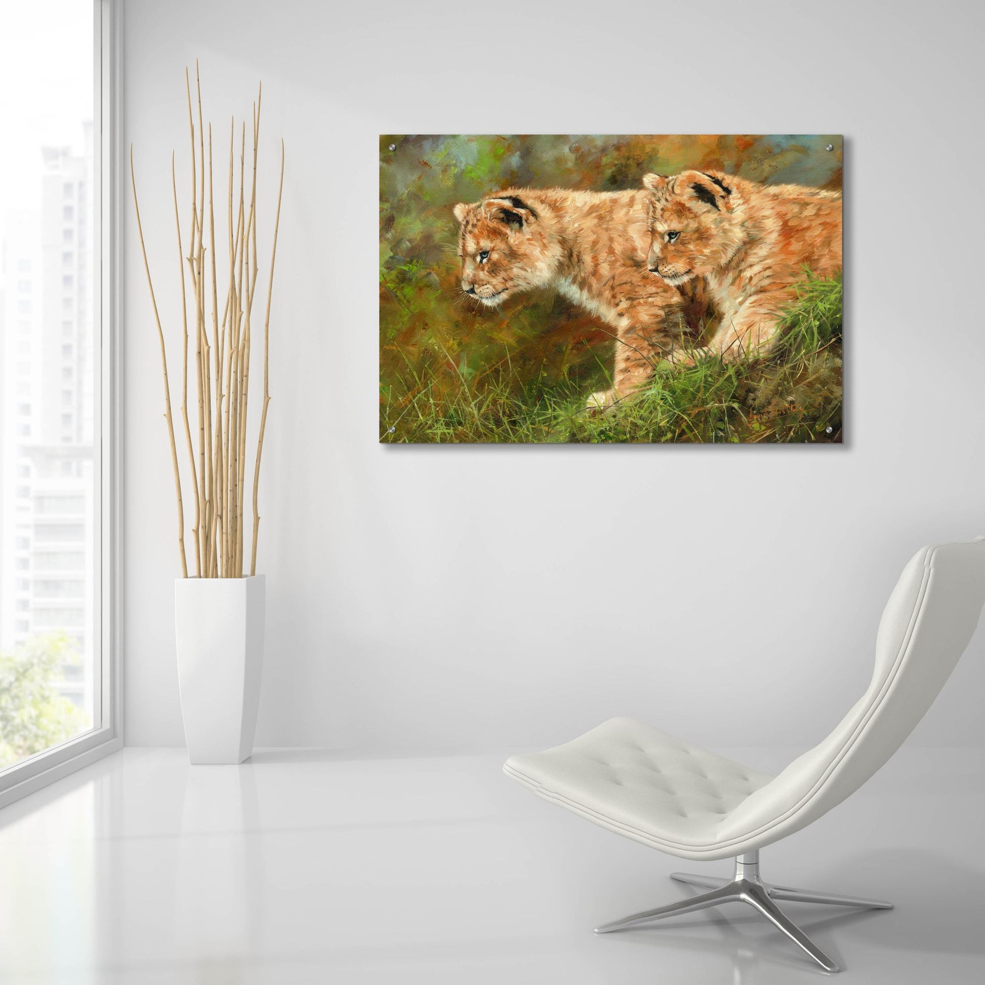 Epic Art 'Lion Siblings2 by David Stribbling, Acrylic Glass Wall Art,36x24