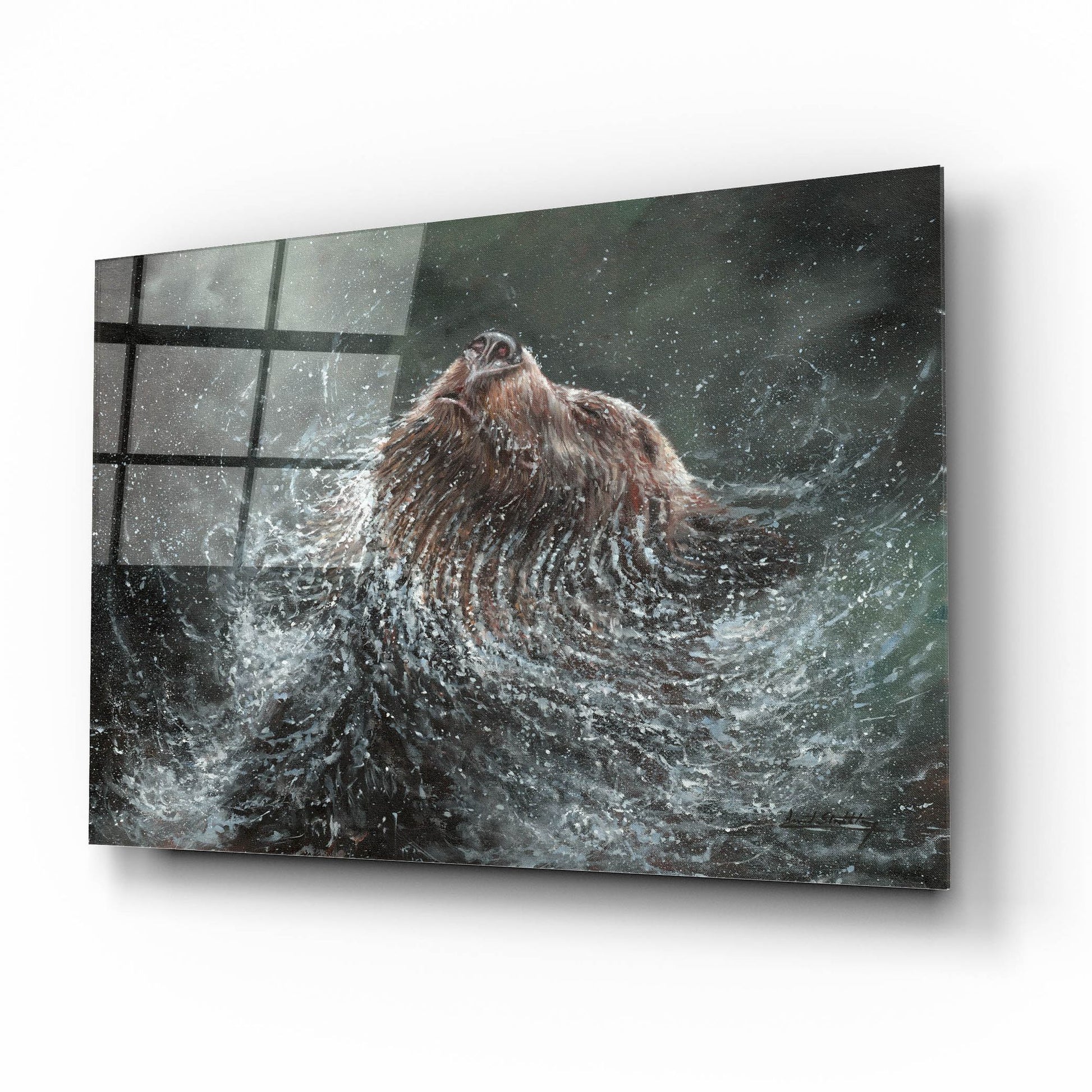 Epic Art 'Bear Splash2 by David Stribbling, Acrylic Glass Wall Art,16x12