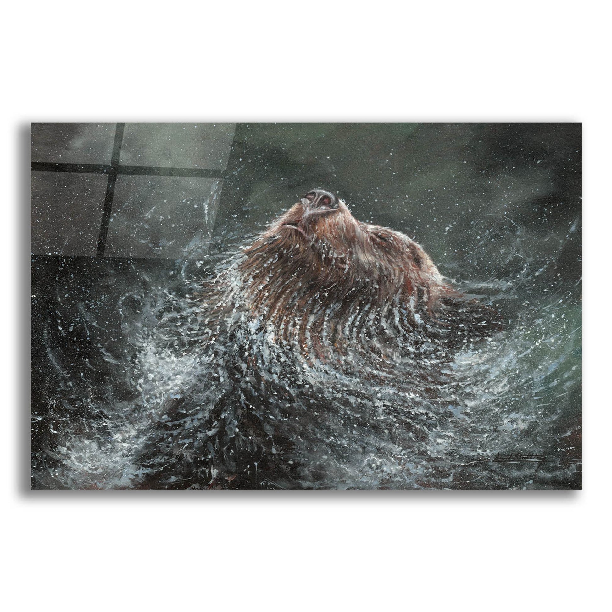 Epic Art 'Bear Splash2 by David Stribbling, Acrylic Glass Wall Art,24x16