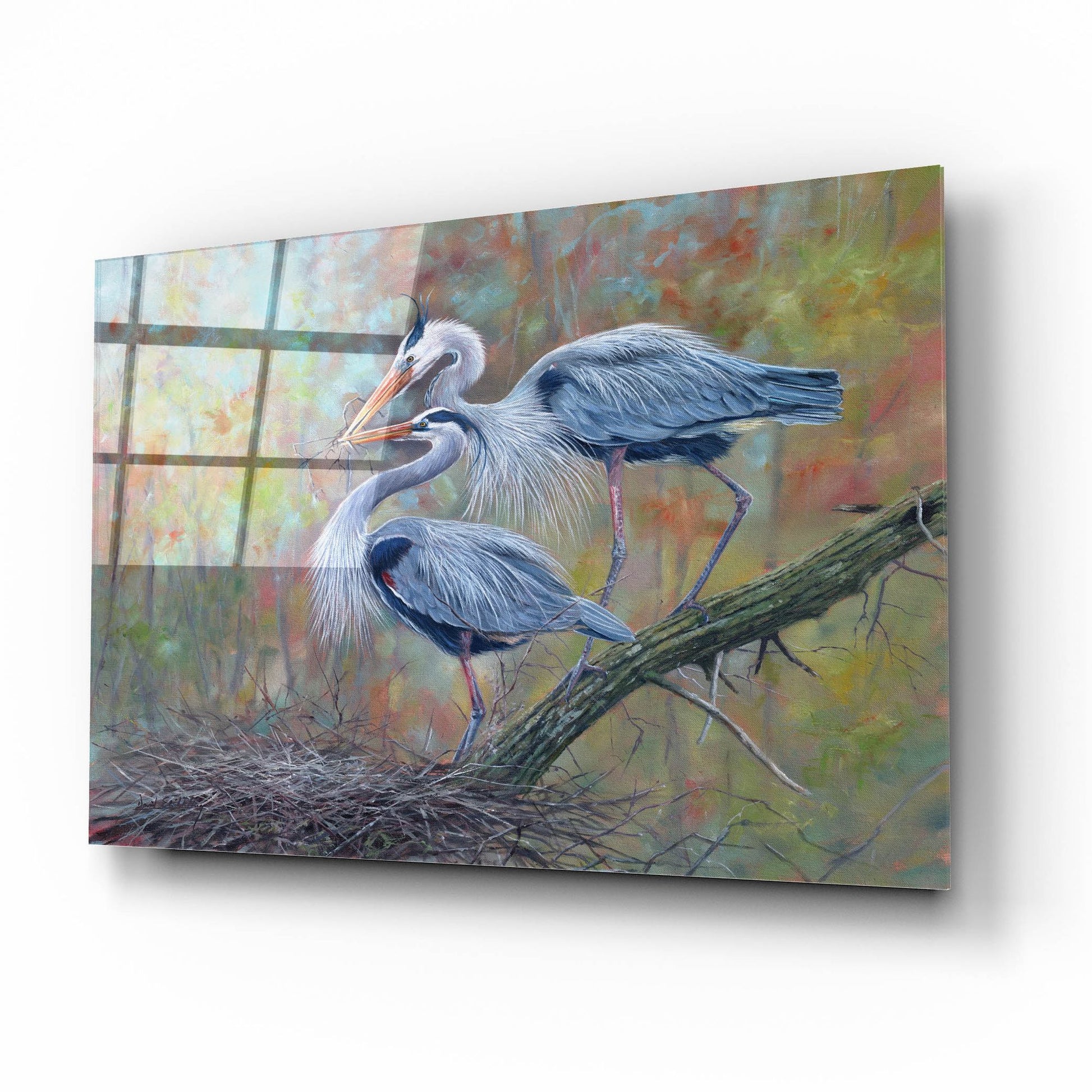 Epic Art 'Herons Nest Building2 by David Stribbling, Acrylic Glass Wall Art,16x12