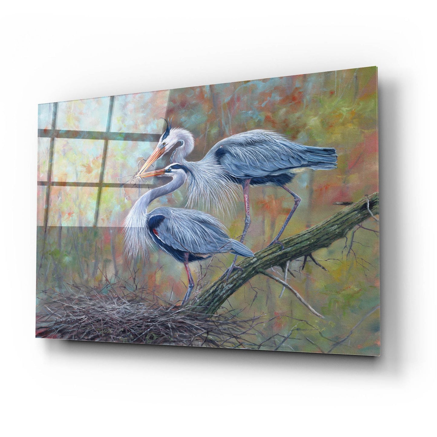 Epic Art 'Herons Nest Building2 by David Stribbling, Acrylic Glass Wall Art,24x16