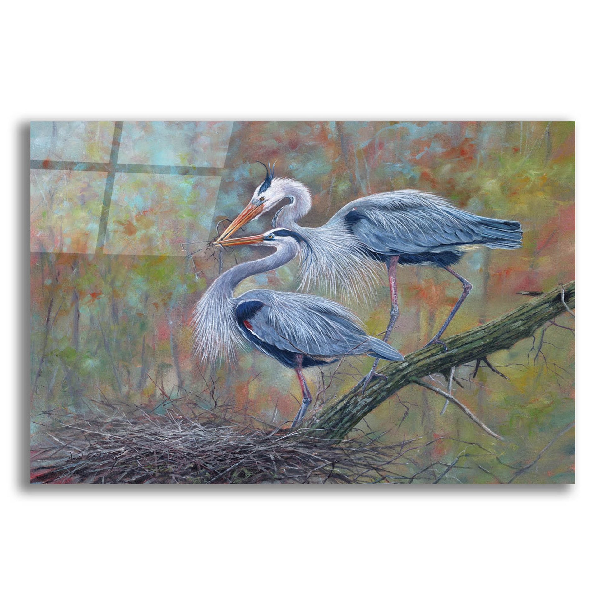 Epic Art 'Herons Nest Building2 by David Stribbling, Acrylic Glass Wall Art,24x16