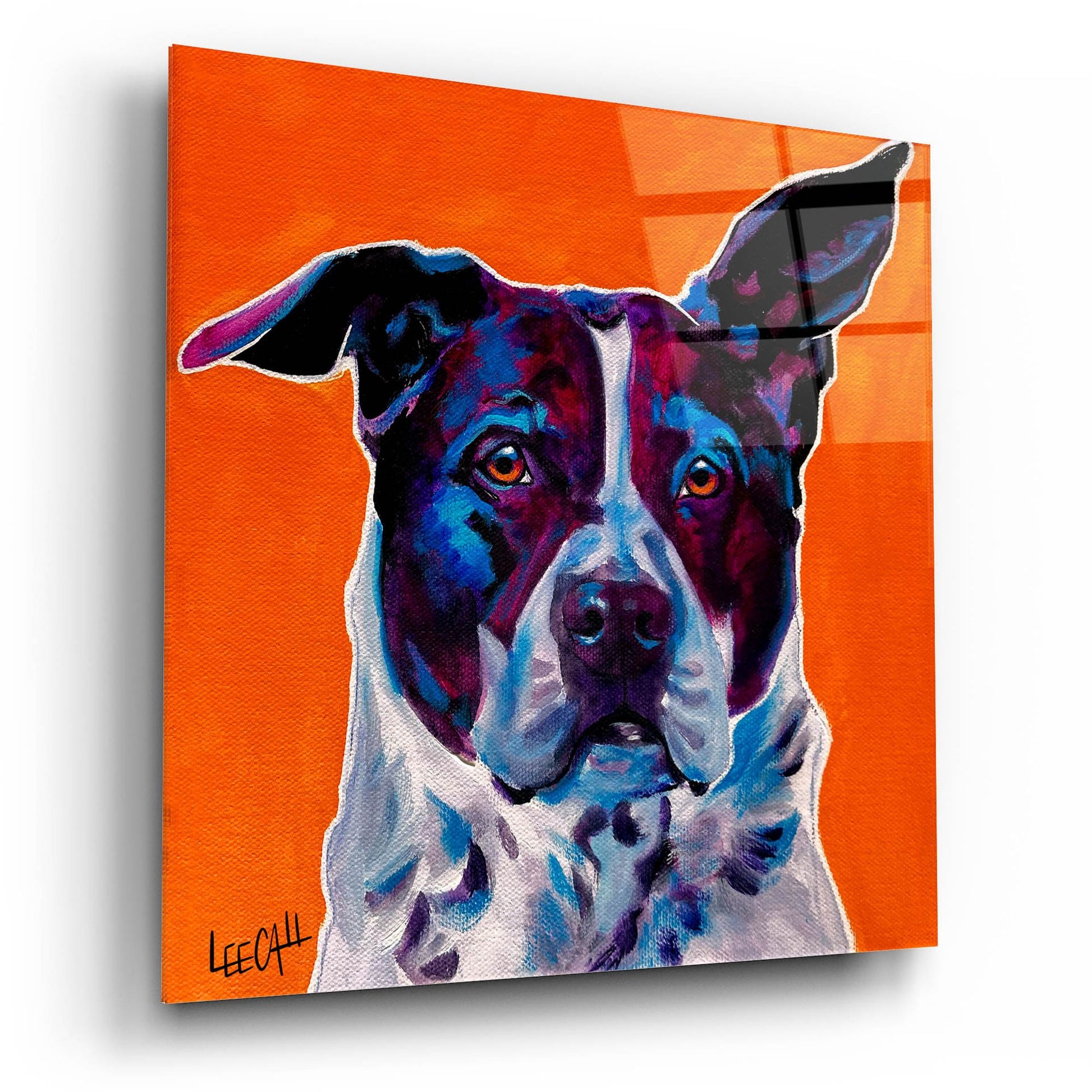 Epic Art 'Ralf' by Dawg Painter, Acrylic Glass Wall Art,12x12