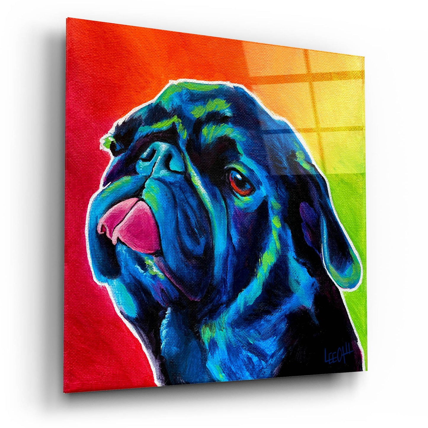 Epic Art 'Seamus' by Dawg Painter, Acrylic Glass Wall Art,12x12