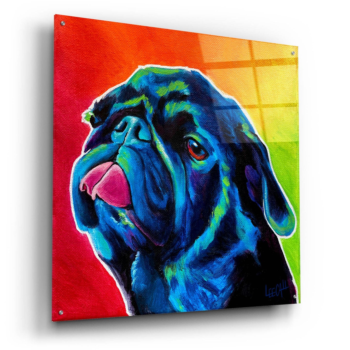 Epic Art 'Seamus' by Dawg Painter, Acrylic Glass Wall Art,36x36