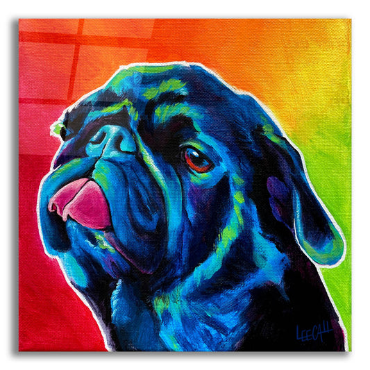 Epic Art 'Seamus' by Dawg Painter, Acrylic Glass Wall Art