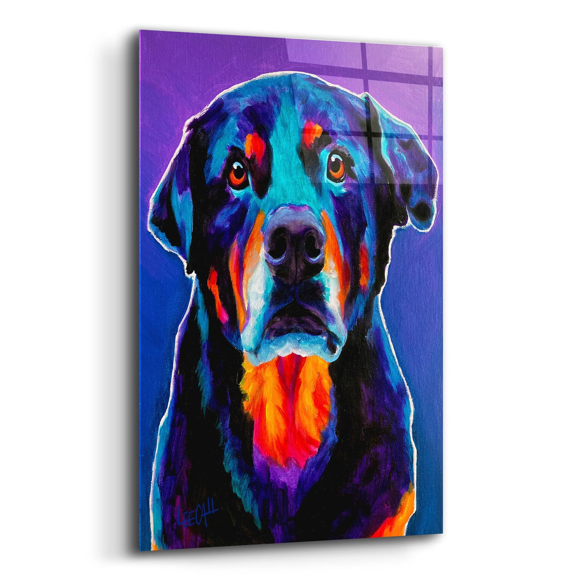 Epic Art 'Rotty' by Dawg Painter, Acrylic Glass Wall Art,12x16